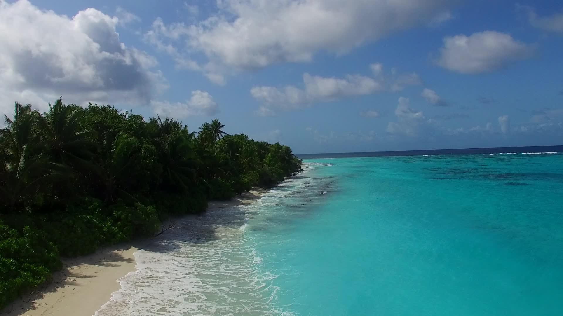 在蓝绿色海洋和白沙的背景下观察海滩野生生物的宁静海景视频的预览图