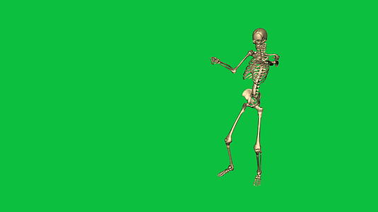 3D骨骼动画在绿屏上分开视频的预览图