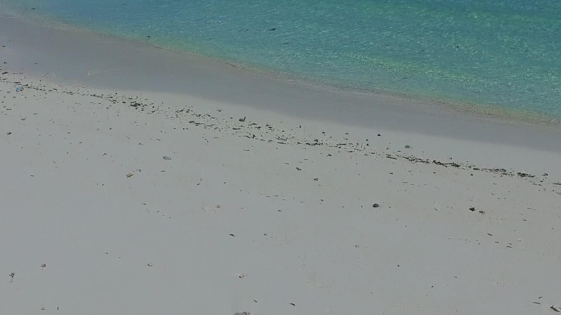 蓝环礁湖和白沙天堂度假胜地海滩野生生物空中旅游视频的预览图