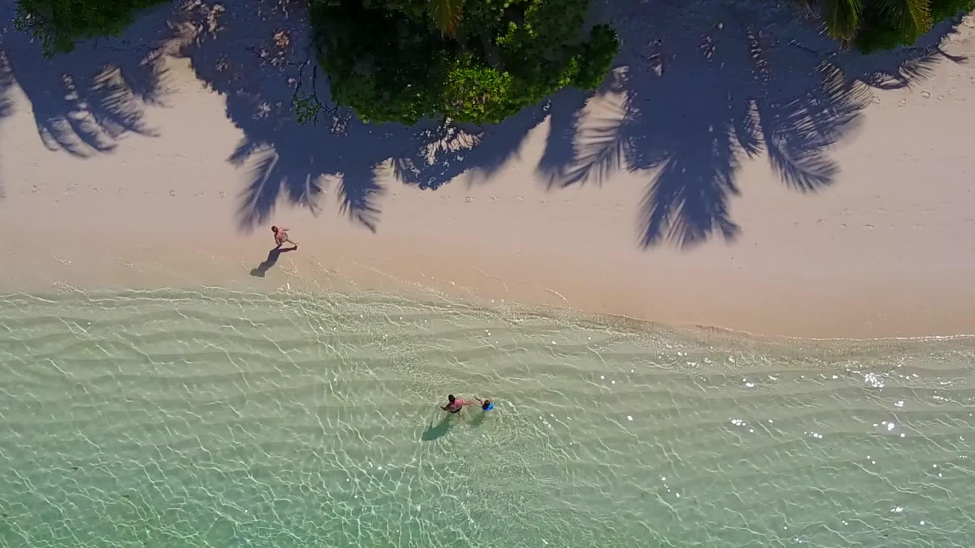 海洋海景海滩旅行的空中天空由绿松石海洋和干净的沙子组成视频的预览图