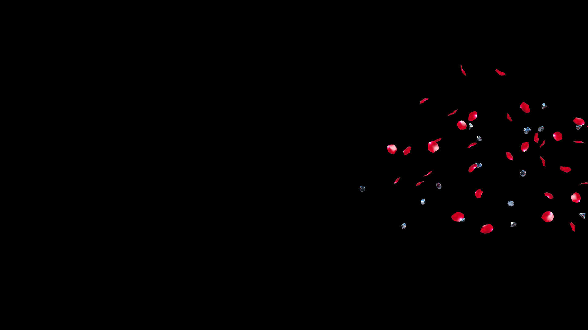 玫瑰转场动画视频的预览图