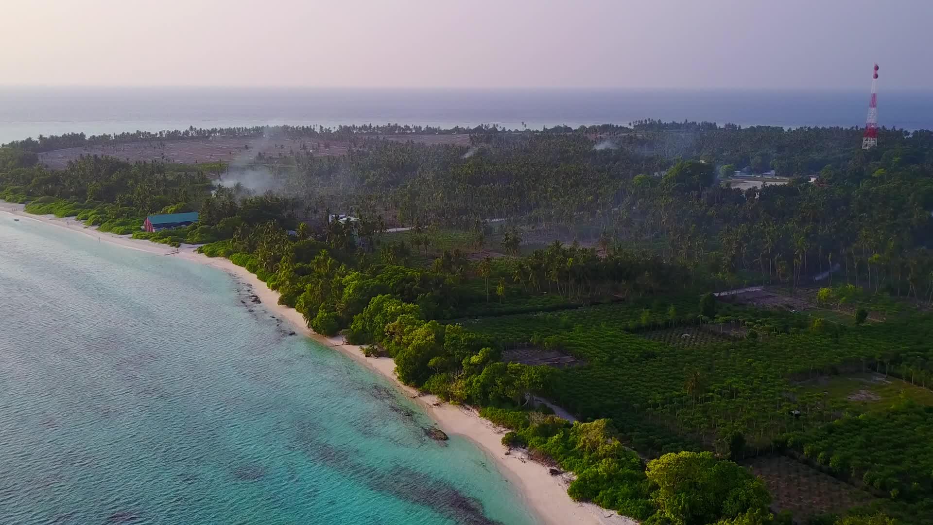 以清澈的环礁湖和白沙为背景的平原度假村海滩野生生物视频的预览图