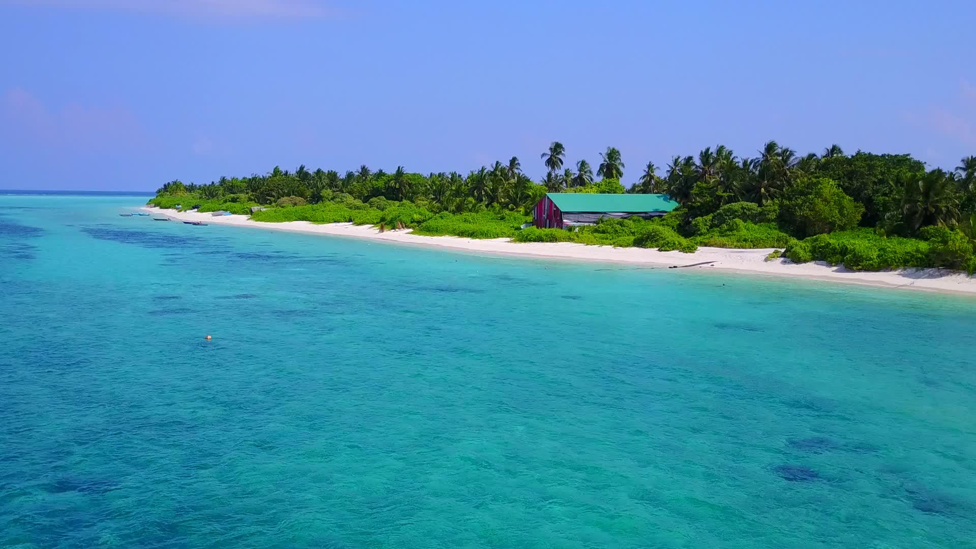 蓝海和白沙背景的海洋环礁湖海滩野生生物特征视频的预览图