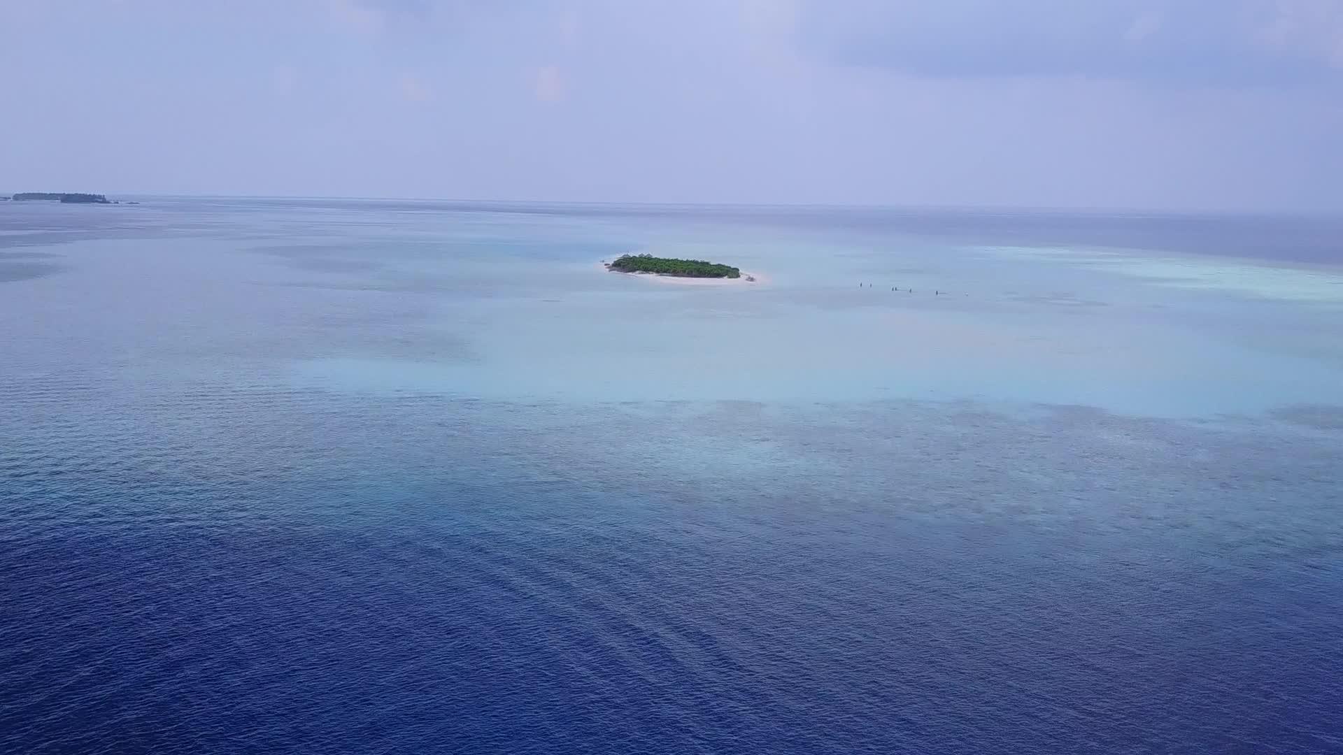 美丽的海滨海滩野生动物空中海景由蓝色海洋和白色组成视频的预览图