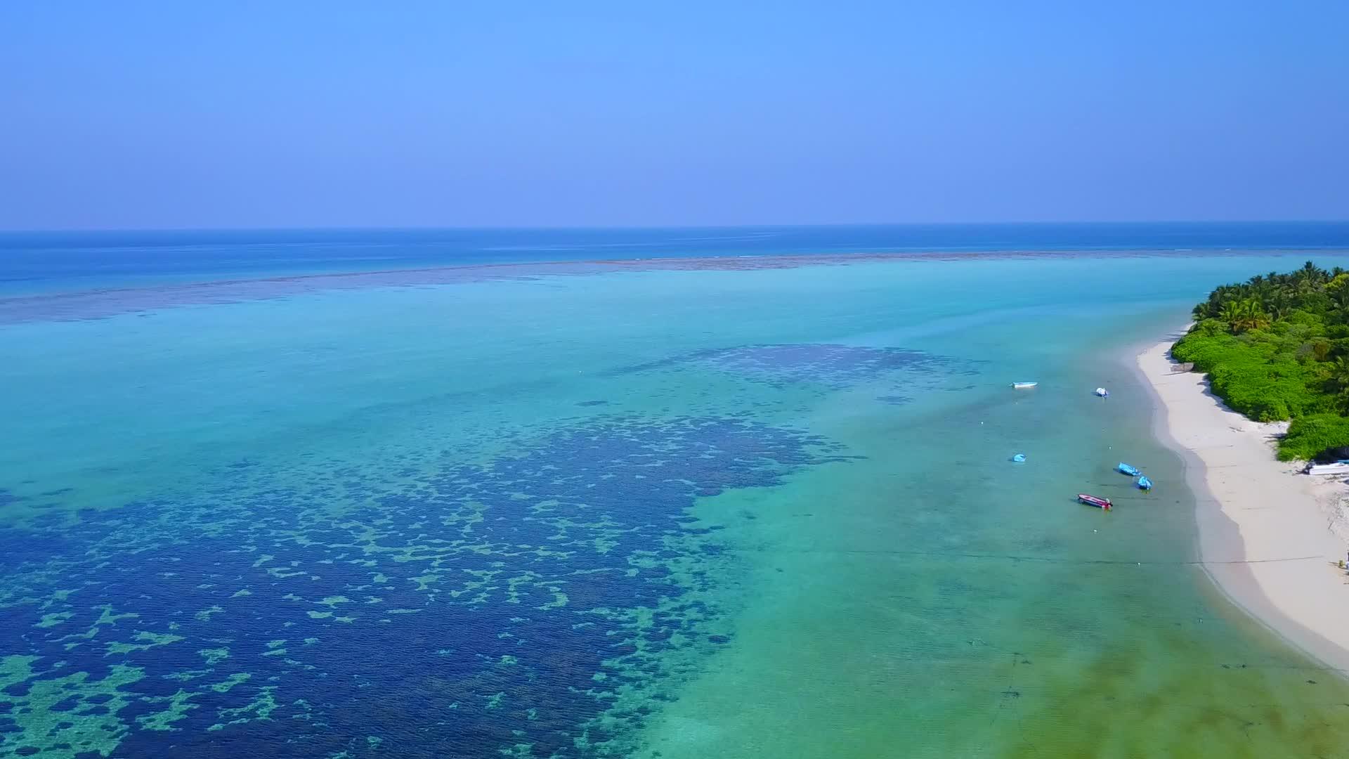 在清海和白色海滩的背景下美丽的岛屿海滩野生动物在空中观看视频的预览图
