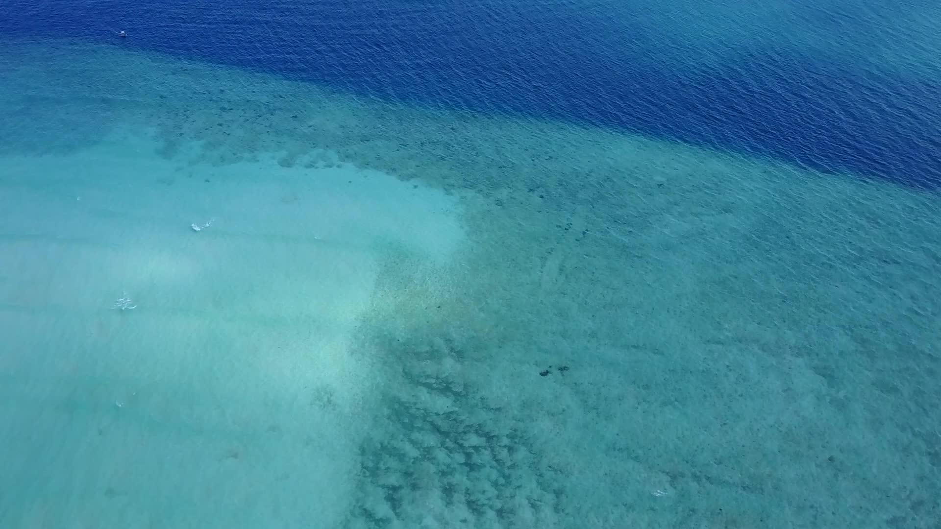 海岸线海滩野生动物的空中无人机景观视频的预览图