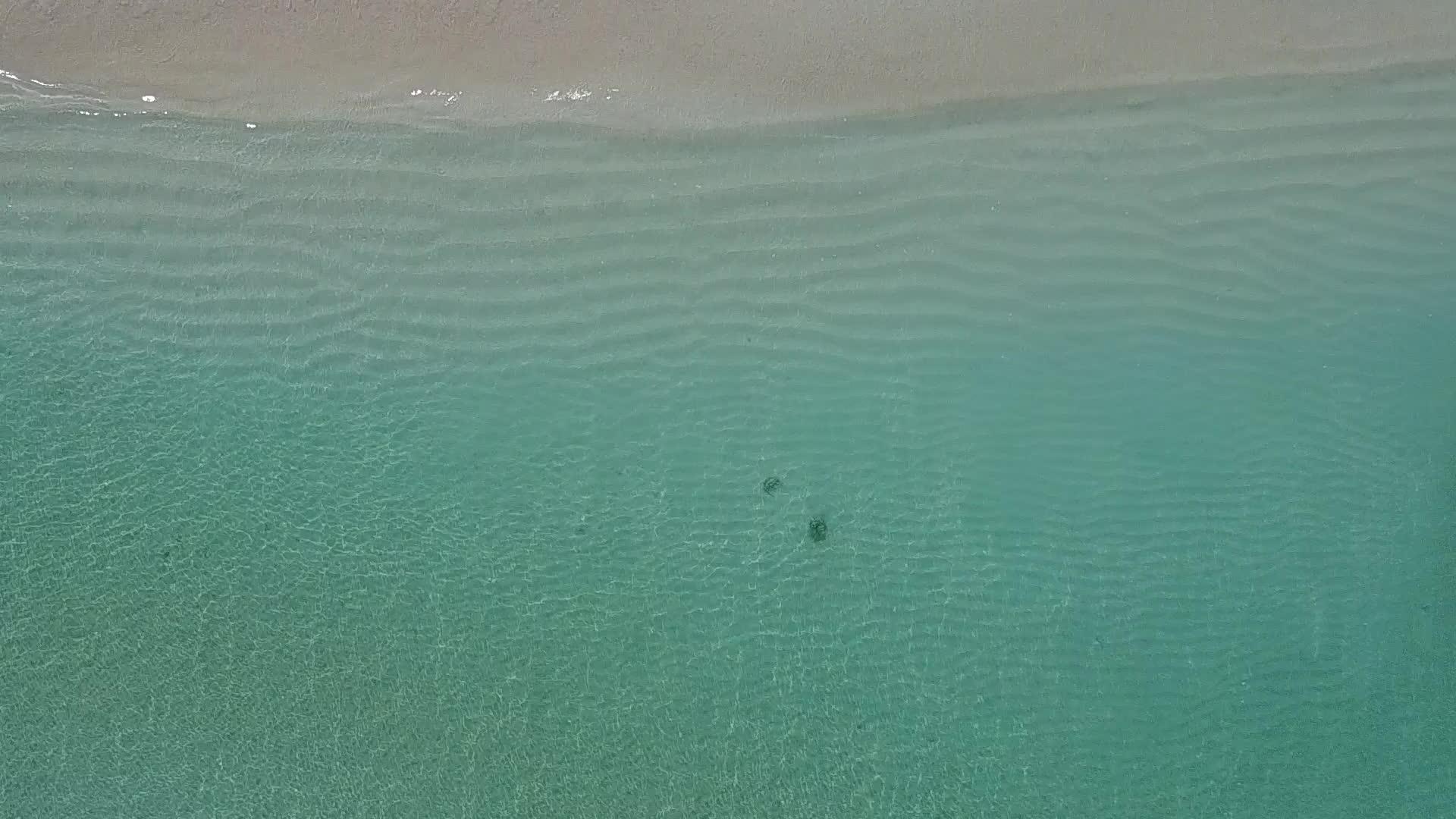 透明的海洋和热带海岸线海滩假日热带无人驾驶视频的预览图