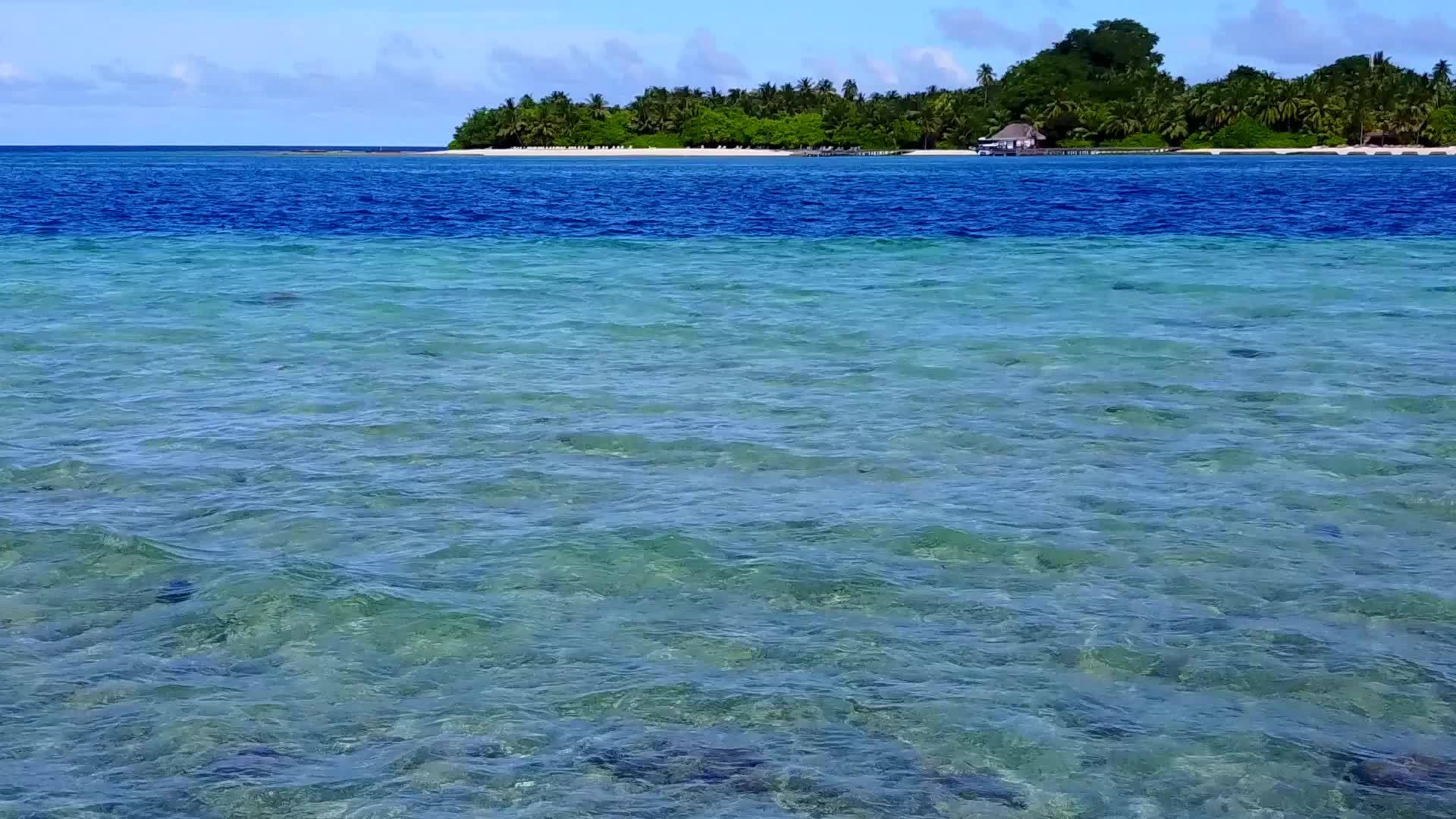 蓝绿色的海洋和清洁的沙子背景海洋海岸野生动物空中无人驾驶视频的预览图
