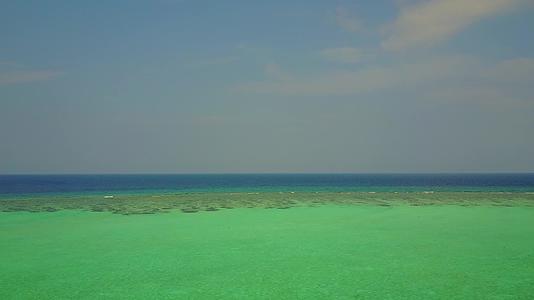 白沙背景蓝色泻湖异国情调海滩野生动物无人机纹理视频的预览图