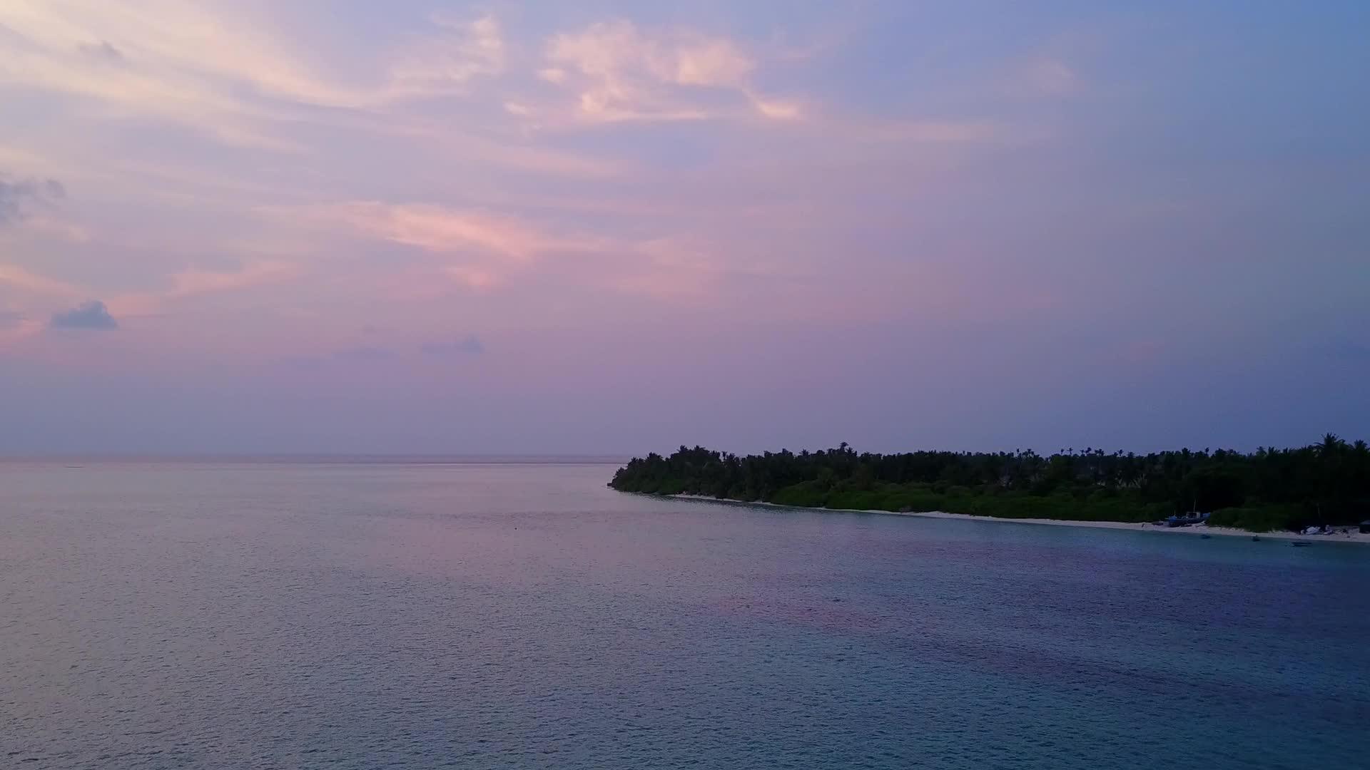 完美的海滩野生动物通过蓝海和白沙的背景在空中视频的预览图