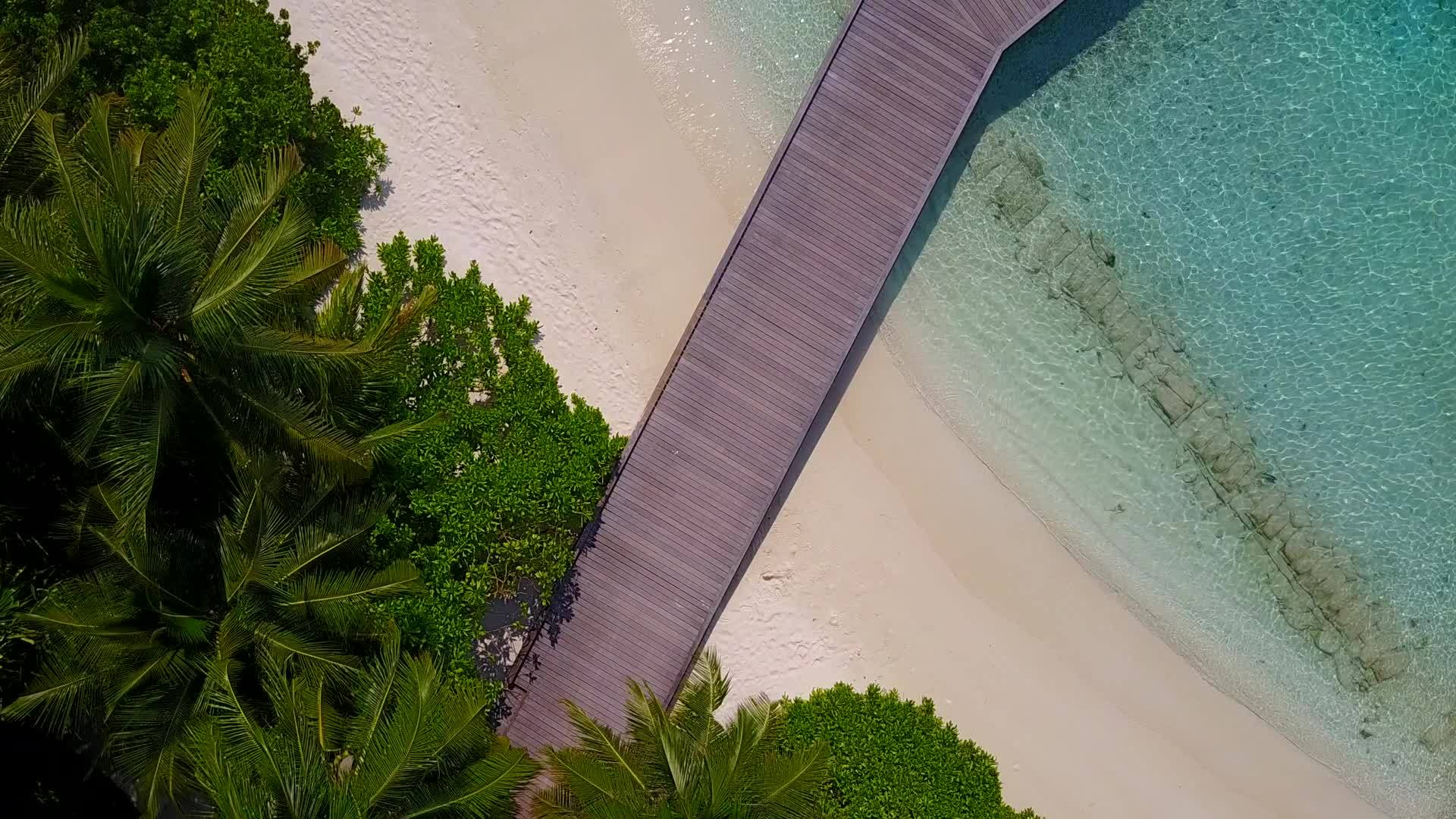 美丽的海湾海滩生活方式以绿水和白沙为背景视频的预览图