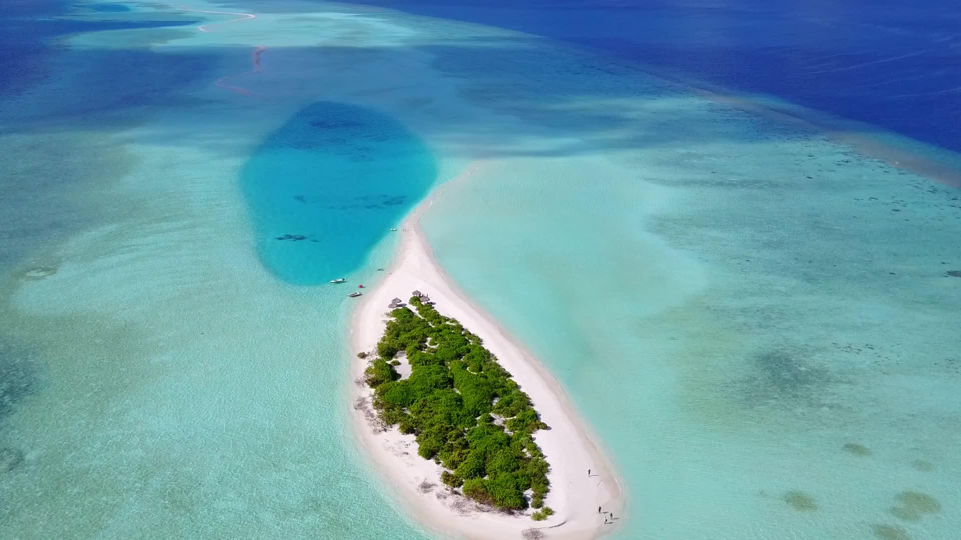 放松海岸海滩野生动物的空中旅行以蓝水和白沙为背景视频的预览图