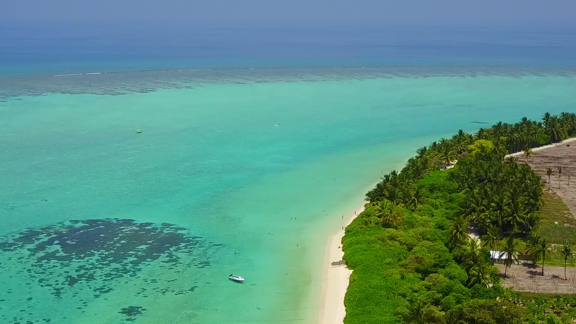 在蓝环礁湖和白色海滩的背景下放松海滩野生动物的空气视频的预览图