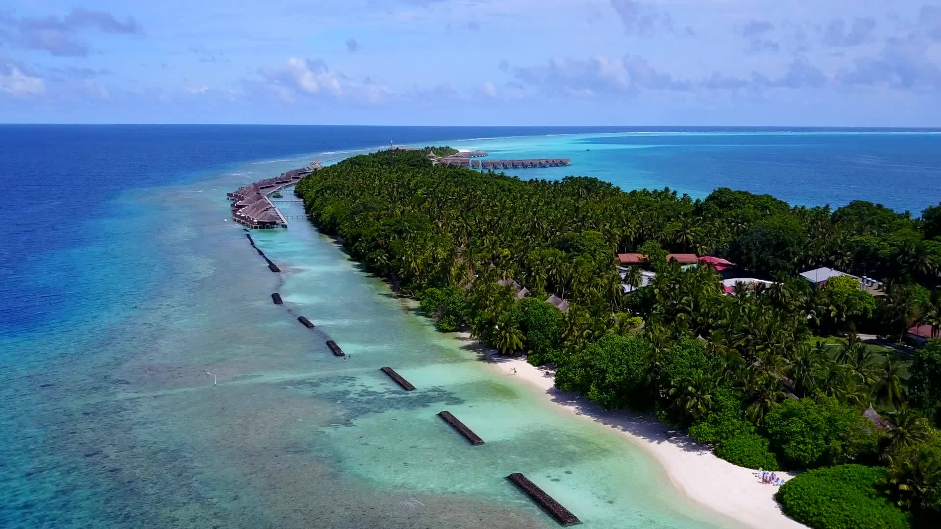 在蓝海和干净的沙地为背景观赏豪华海滩野生生物的旅游视频的预览图