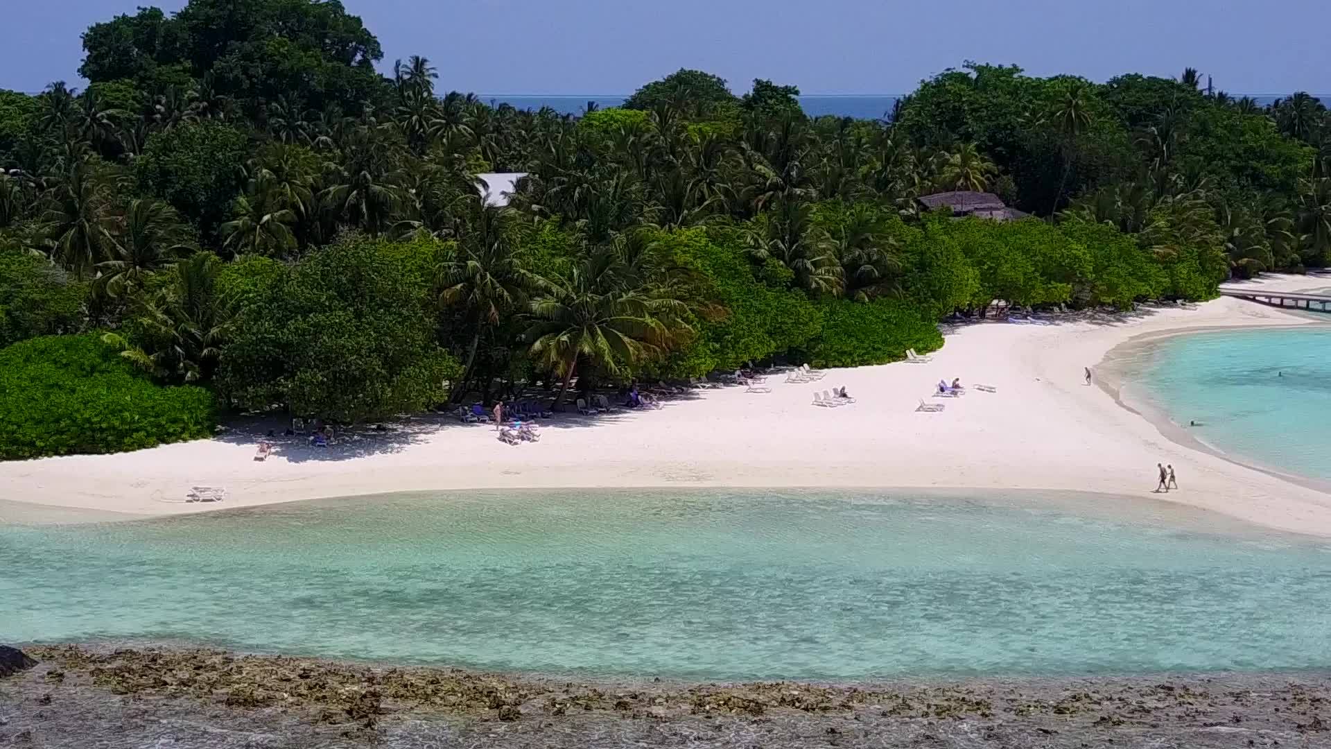 完美的旅游海滩野生生物清晰的海洋和白色的沙沙背景视频的预览图