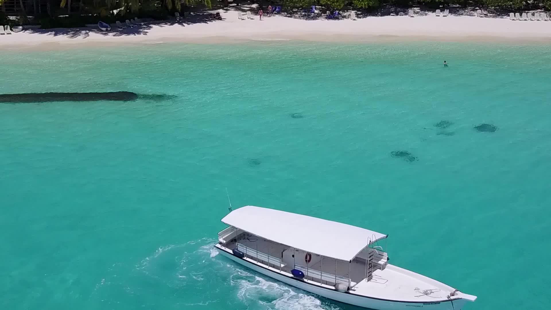 蓝海白沙背景下的天堂旅游海滩野生动物无人机旅游视频的预览图
