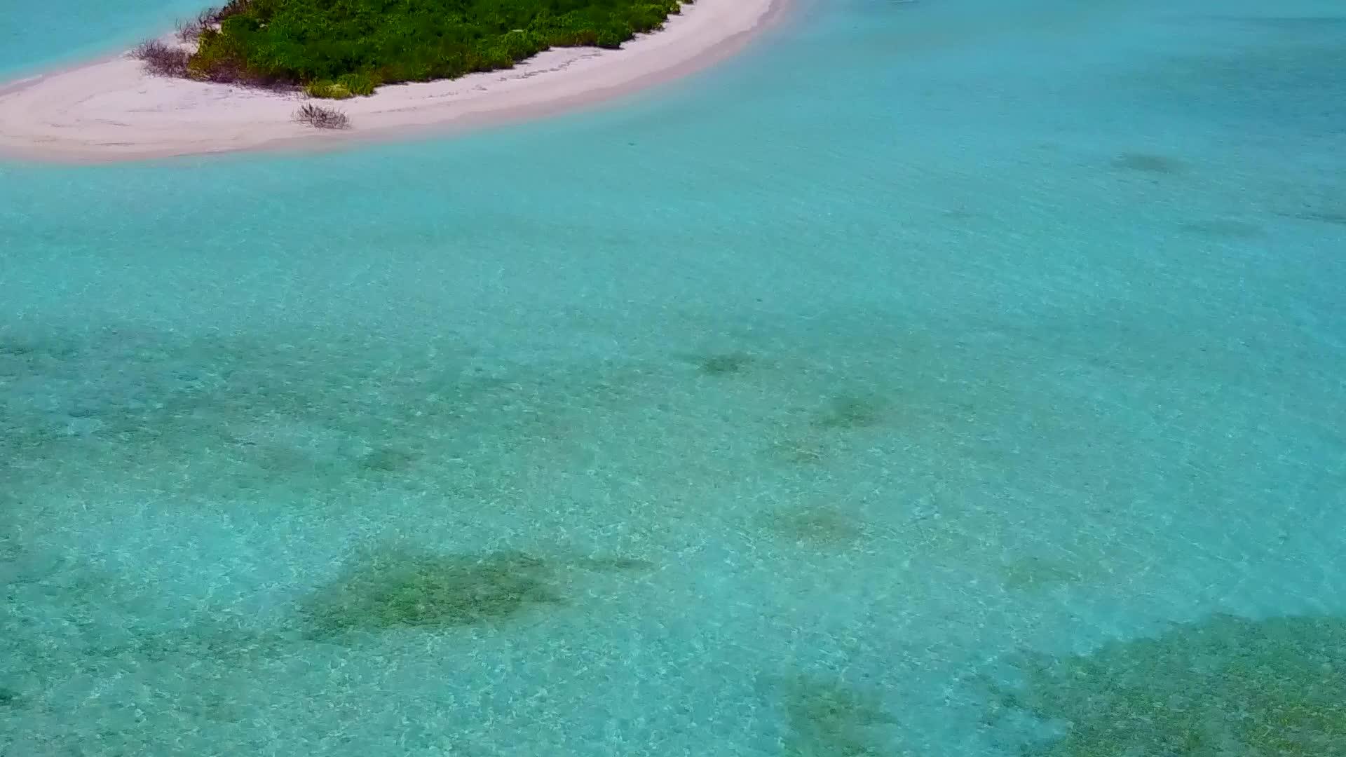 在蓝绿海和白沙的背景下放松环礁湖海滩上的野生动物视频的预览图