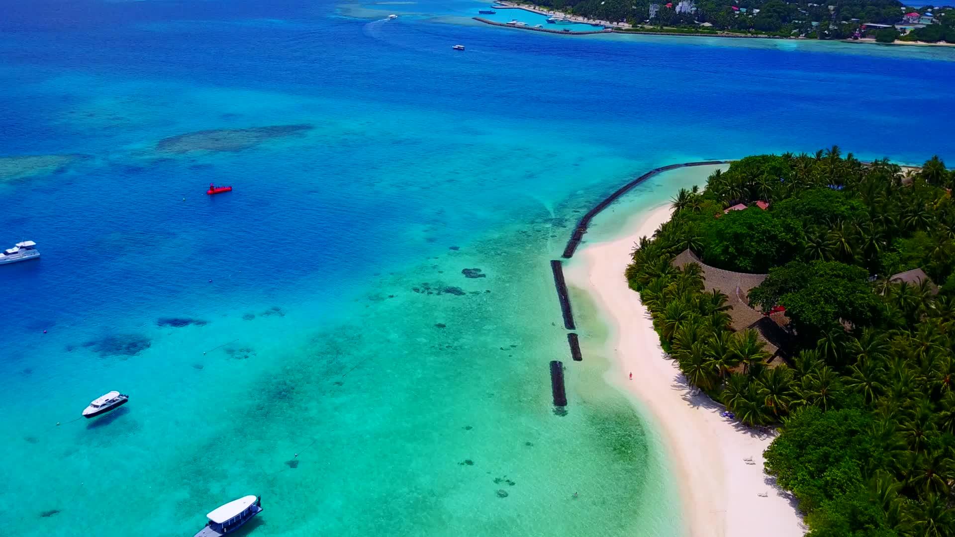 蓝水和白色海滩背景的天堂环礁湖海滩野生生物的海景视频的预览图