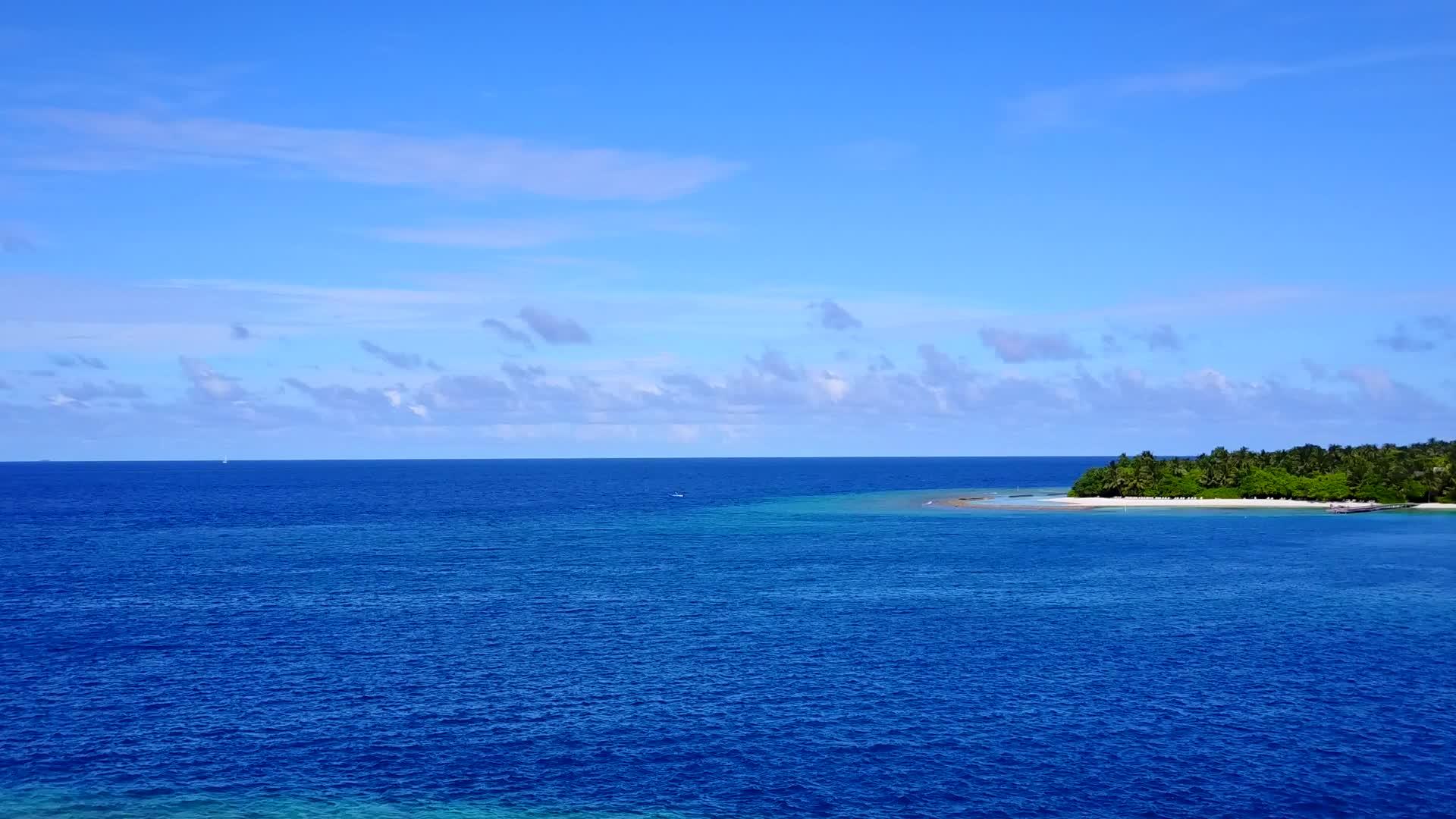 白沙背景水蓝海热带旅游海滩野生动物无人机摘要视频的预览图