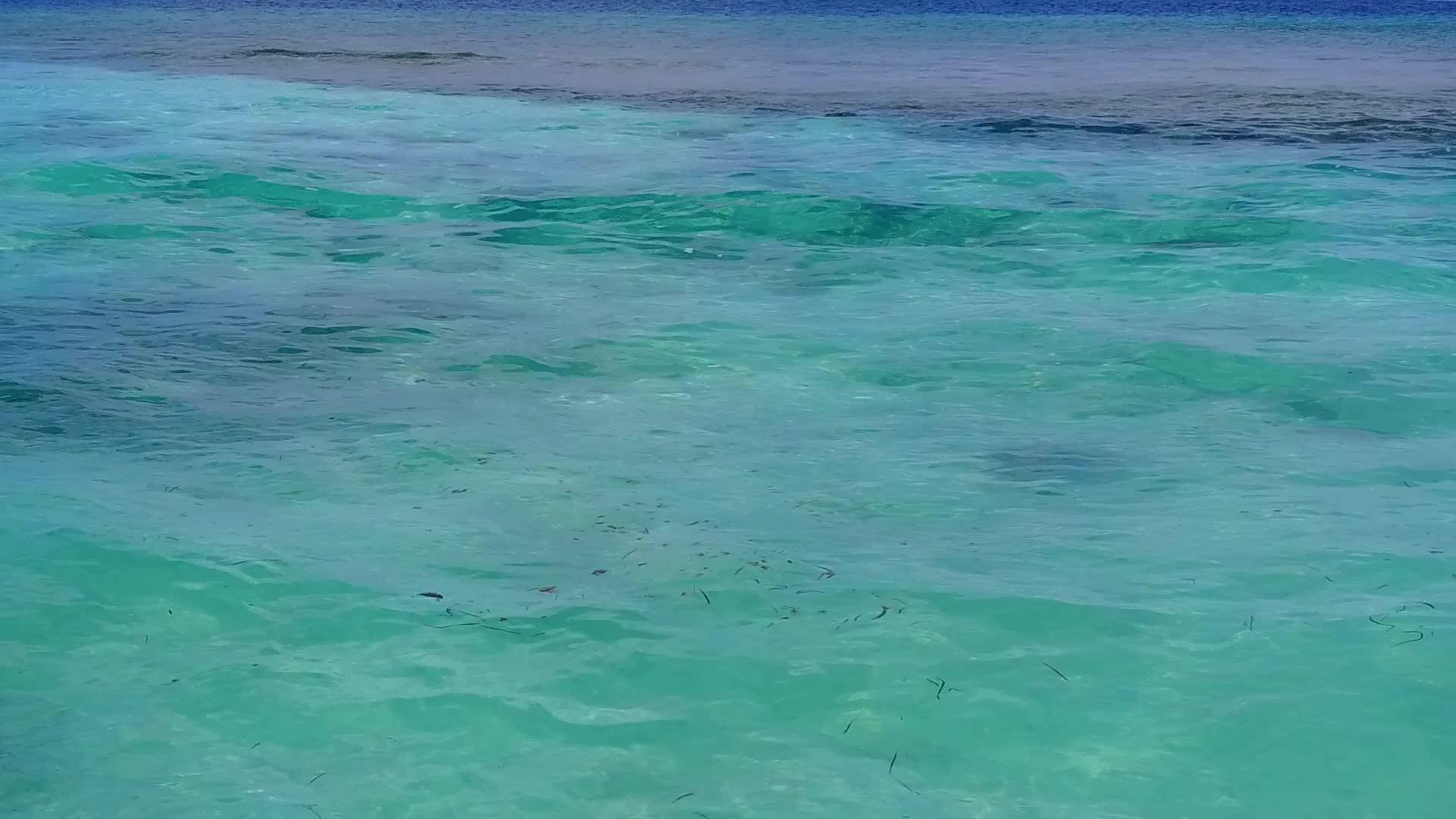 蓝海和清洁海滩背景的海岸海滩冒险的空中风景视频的预览图