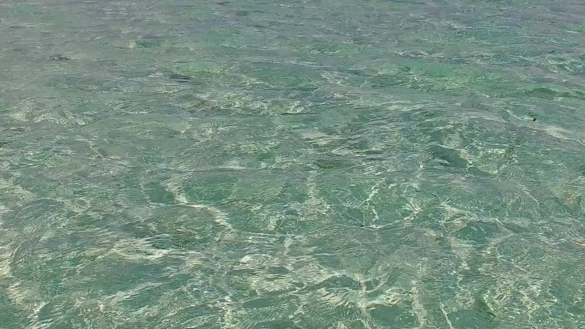 白沙背景清澈清澈的海面完美的海滩冒险的空中无人机海景视频的预览图