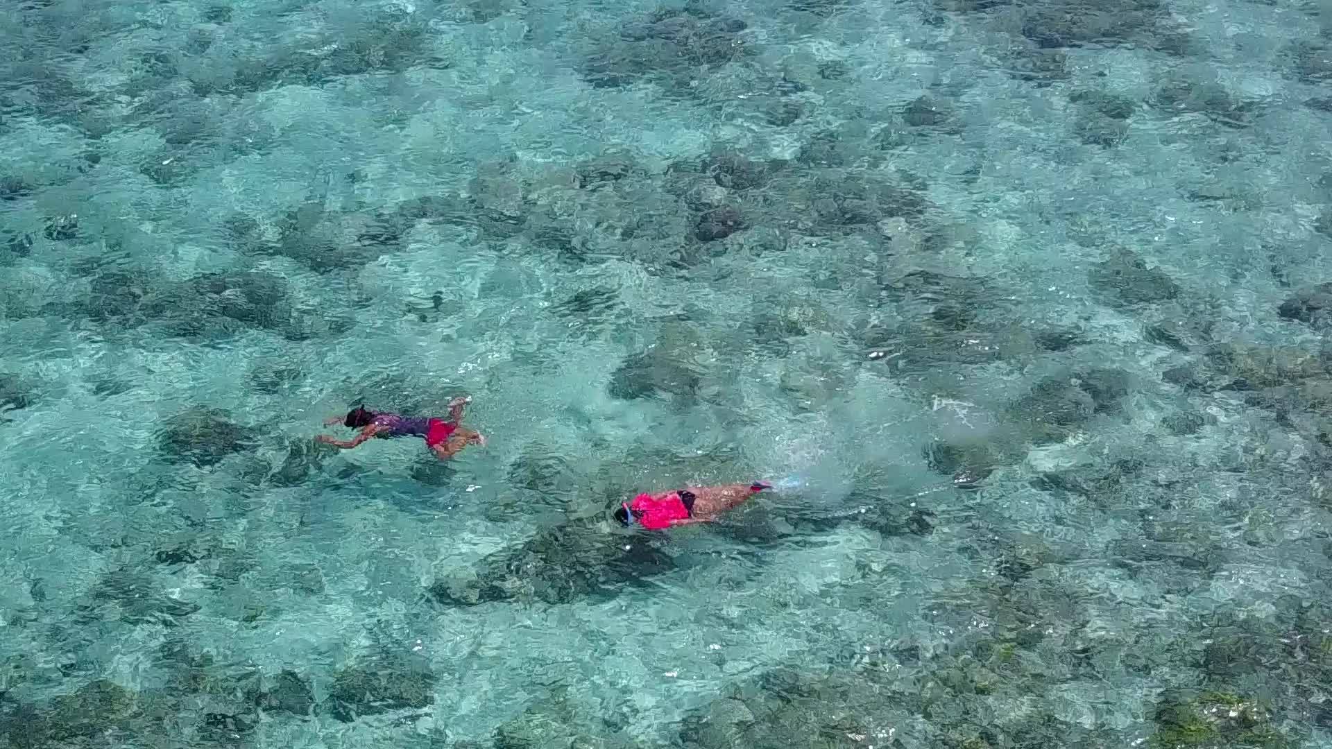 在浅海和白沙的背景下热带旅游海滩度假视频的预览图