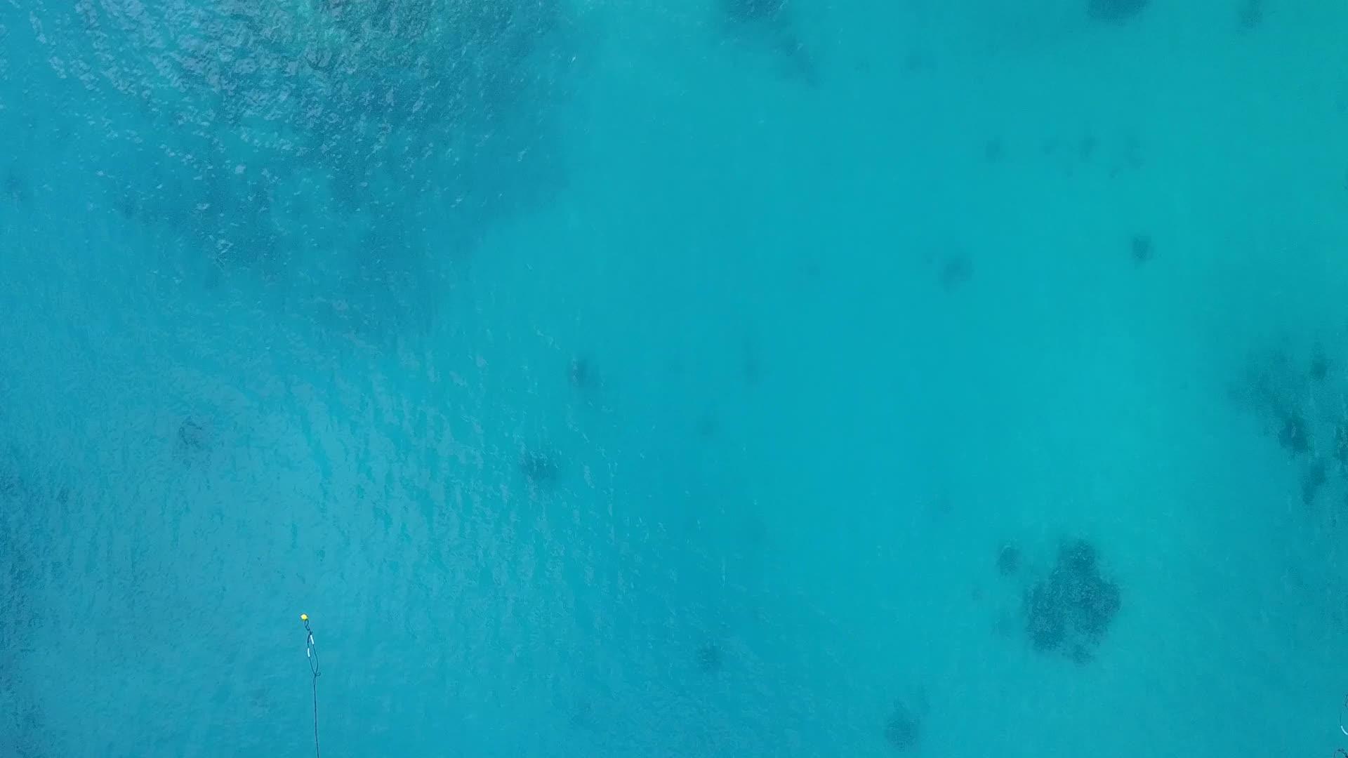 海岸海滩野生动物无人机采用白色沙质背景浅泻湖视频的预览图