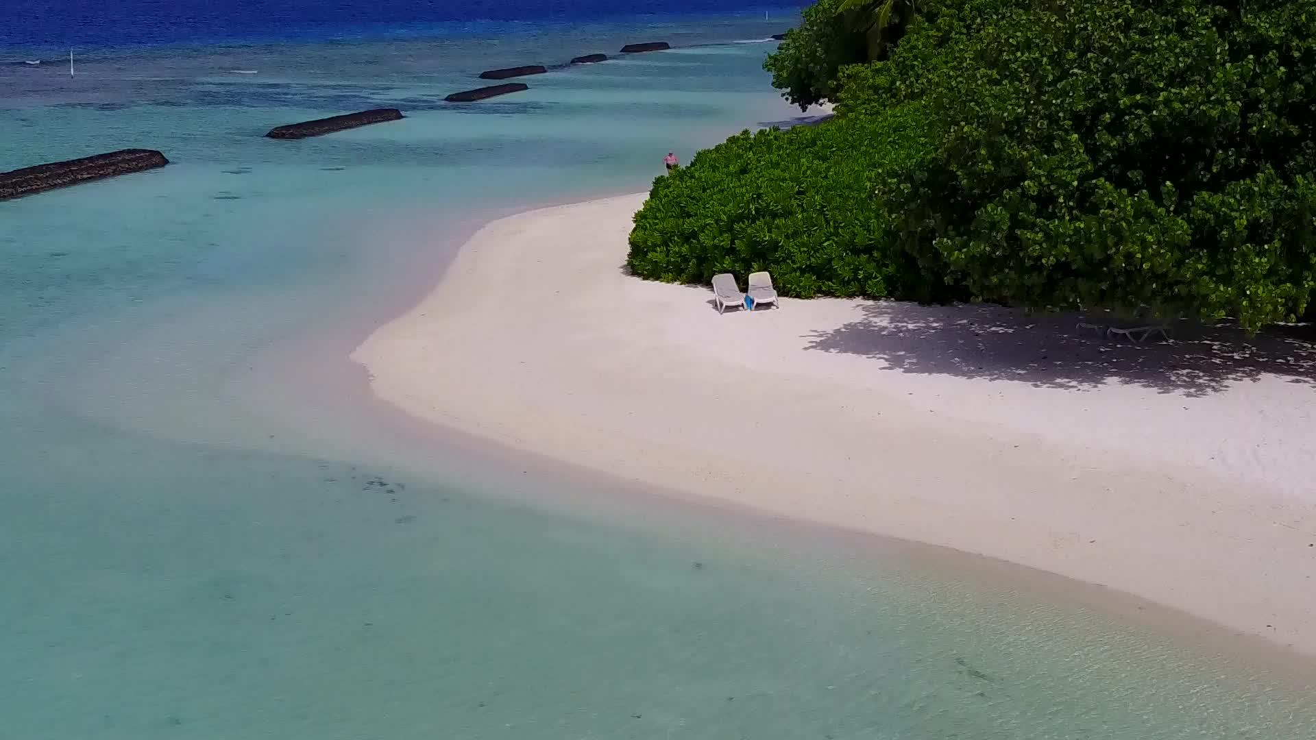 完美的蓝海和白沙海滩野生动物在空中无人驾驶无人驾驶视频的预览图