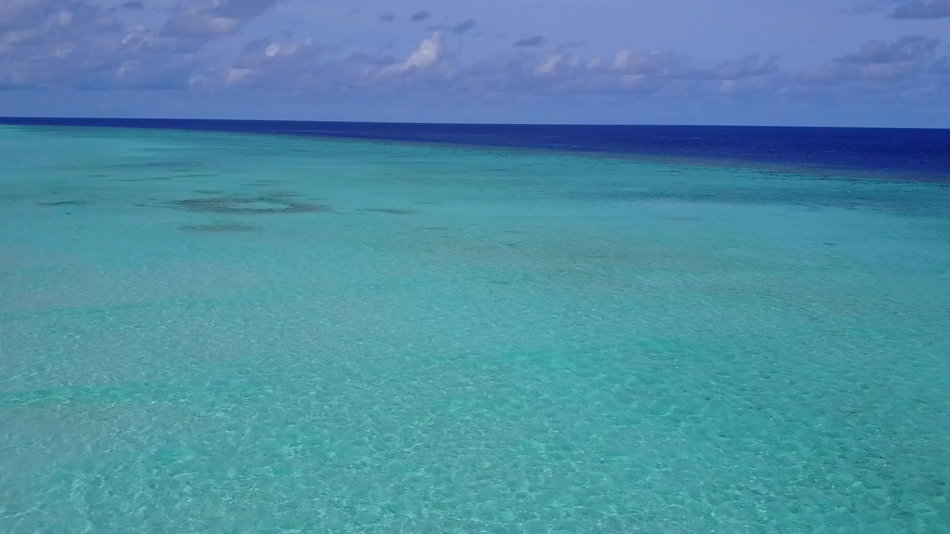 蓝海和白和白色沙底蓝海对外国海岸海滩野生生物的纹理视频的预览图