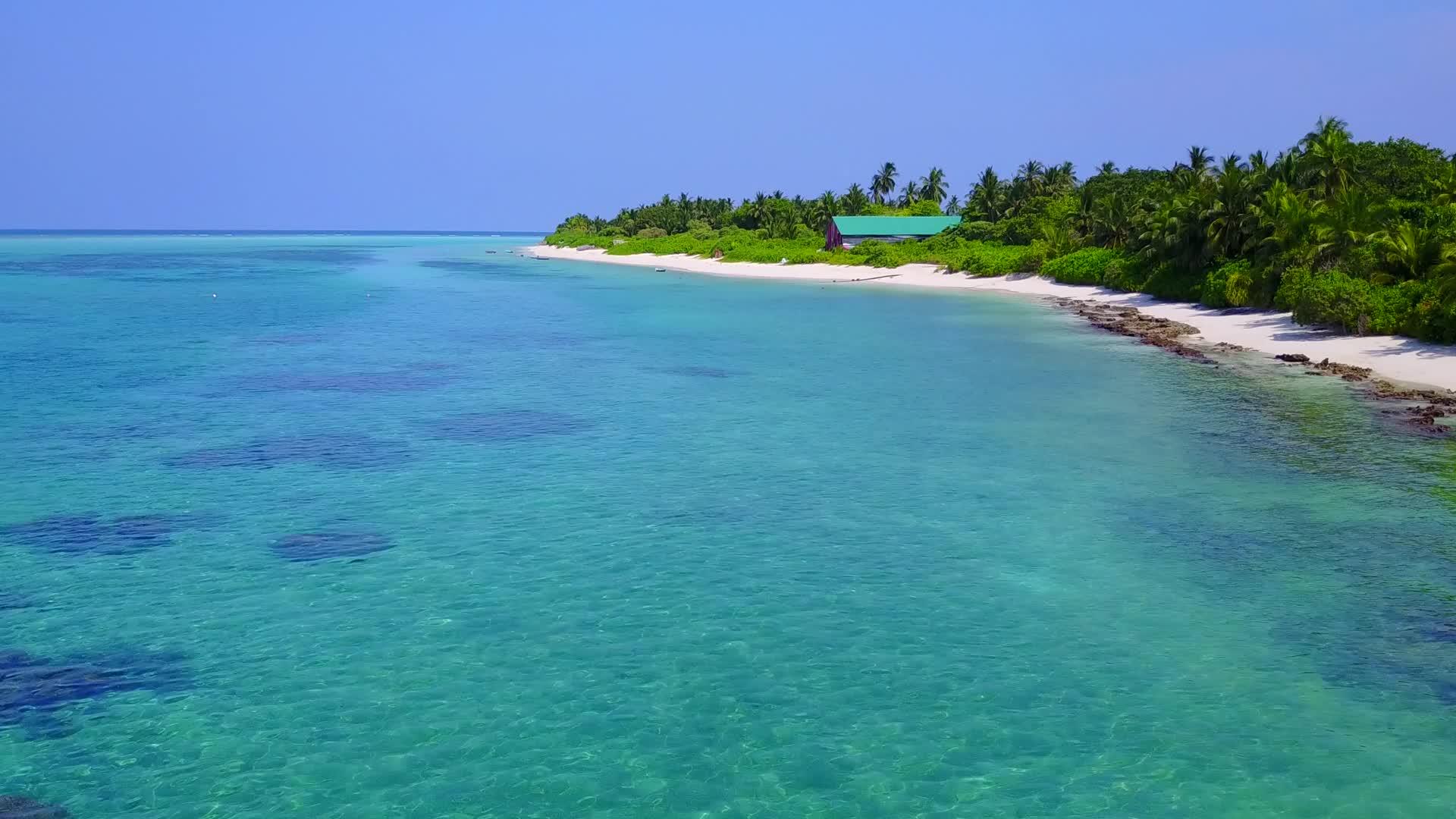 海滩野生生物空中旅行由蓝色海平面以白沙为背景视频的预览图