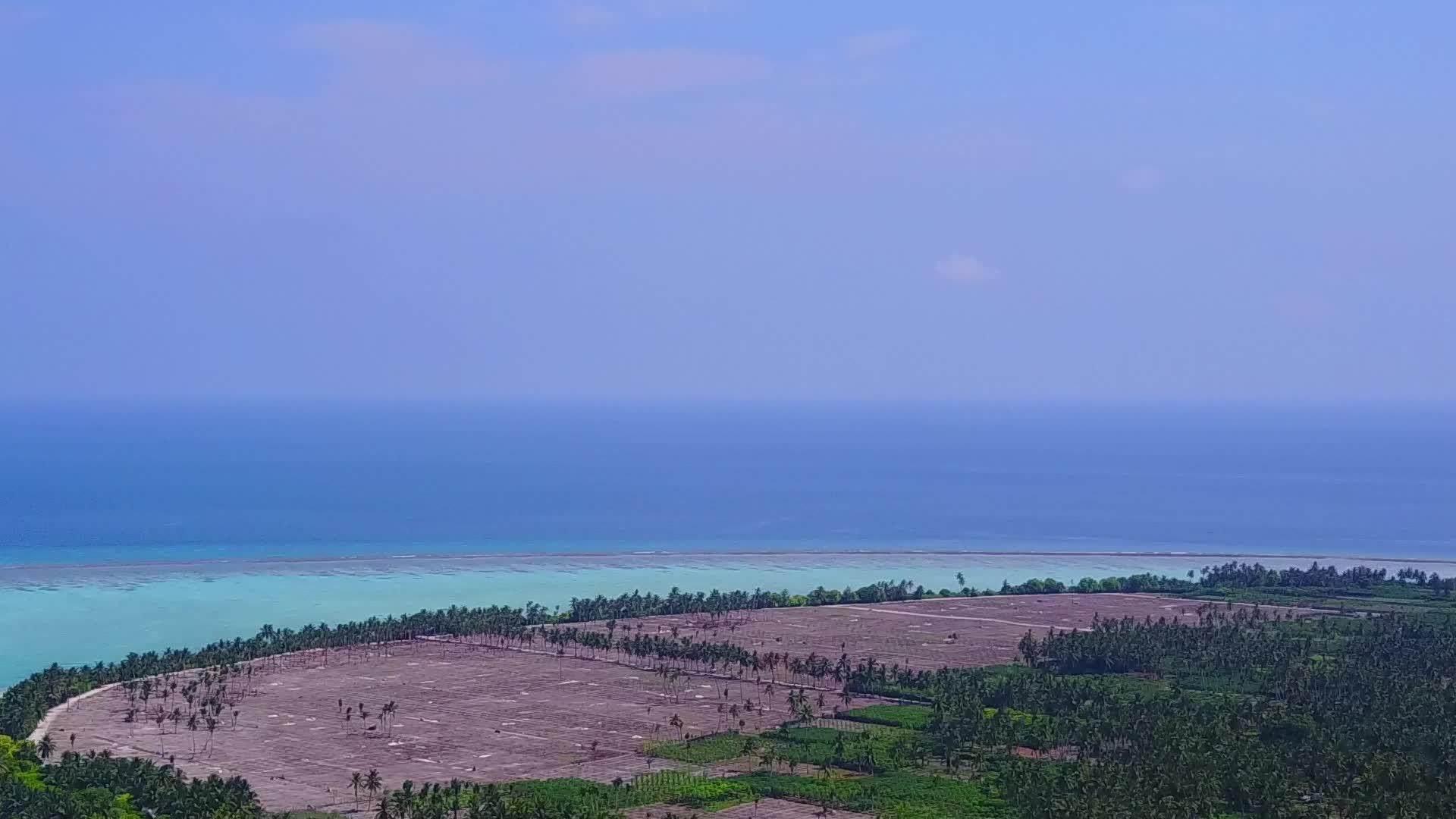 以清海和白沙为背景的自然海滩野生动物在空中无人驾驶视频的预览图