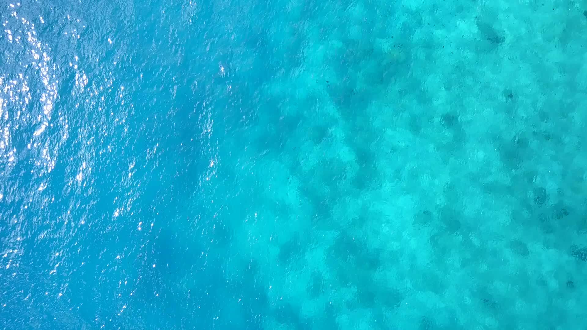 蓝色泻湖天堂湾海滩野生动物无人机空质背景视频的预览图