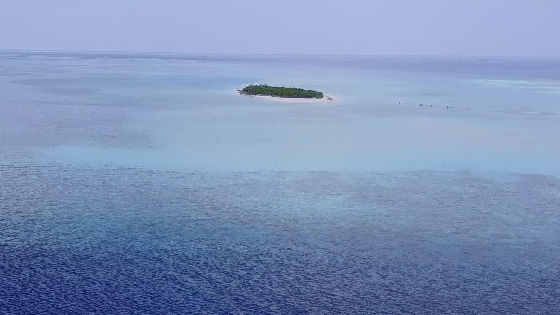 在绿松石海和白沙的背景下热带旅游海滩野生动物的无人机在空中视频的预览图