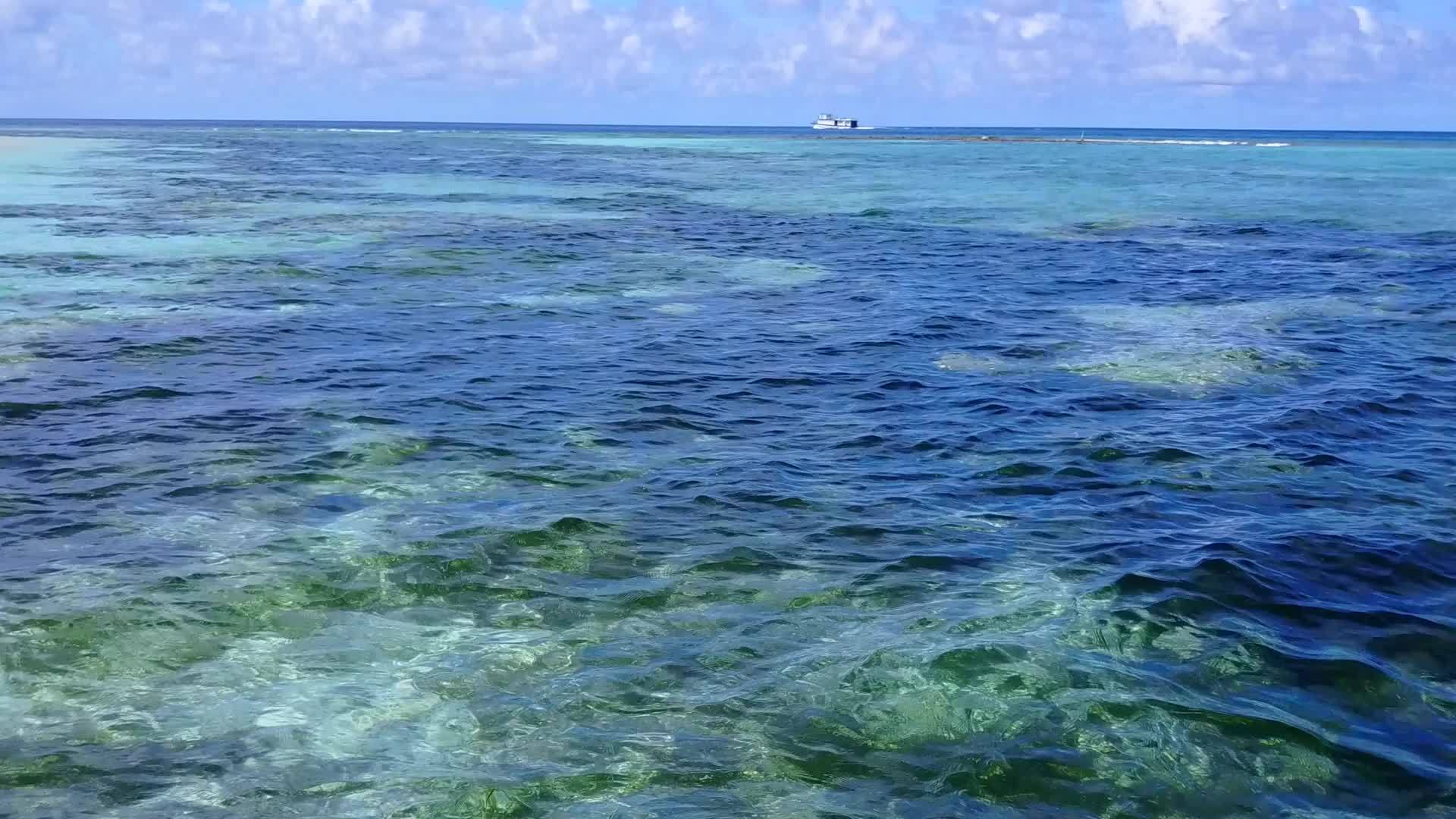热带海景海滩野生动物在透明海洋和白沙背景下的空气性质视频的预览图