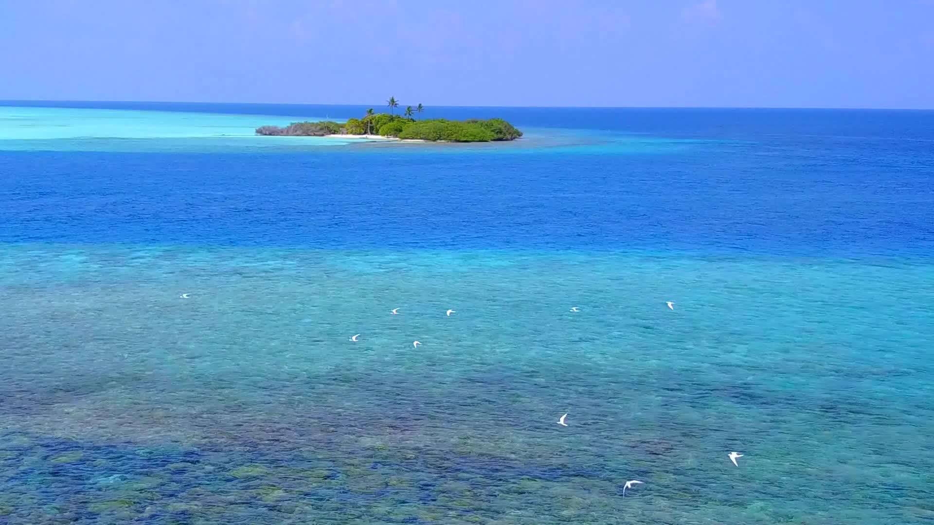 在蓝海和白沙的背景下热带岛屿海滩生活方式的空中无人机全景视频的预览图