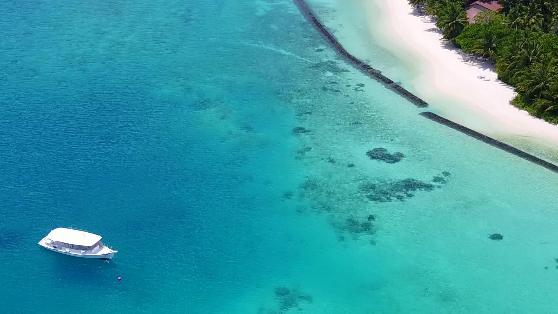 通过浅海和白沙的背景从空中观察沿海野生生物的风景视频的预览图