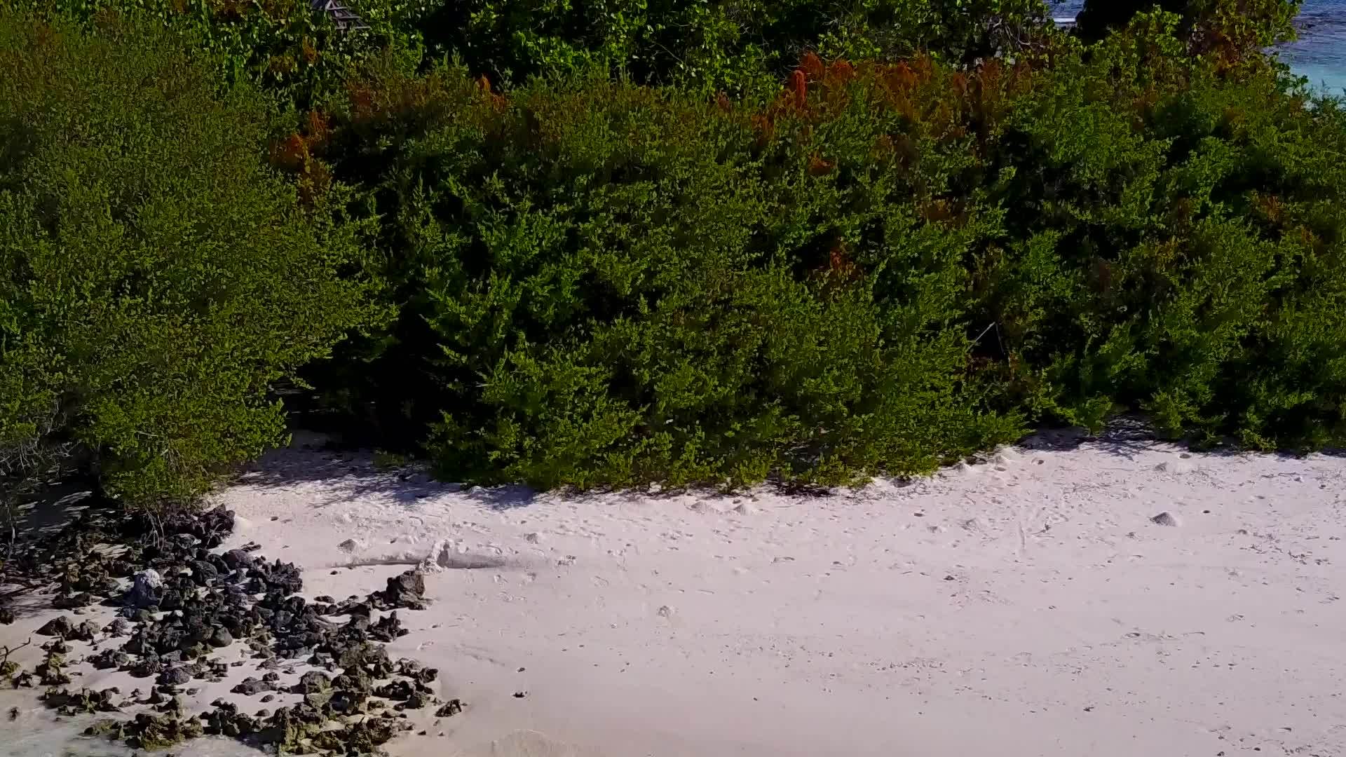 美丽的度假胜地海滩野生生物蓝海和白沙地背景视频的预览图