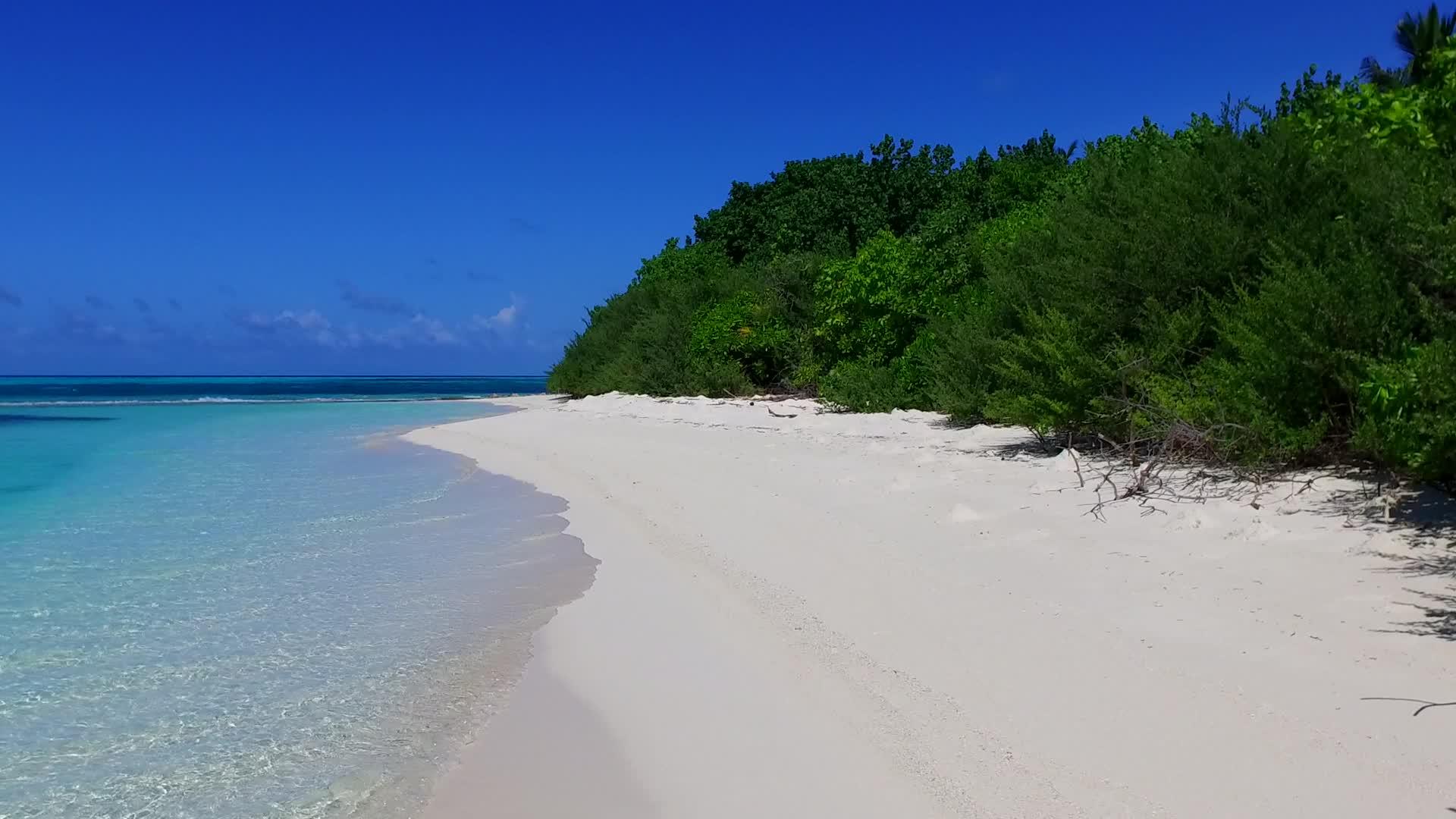 以蓝水和白沙为背景的奇特旅游海滩探险活动全景视频的预览图