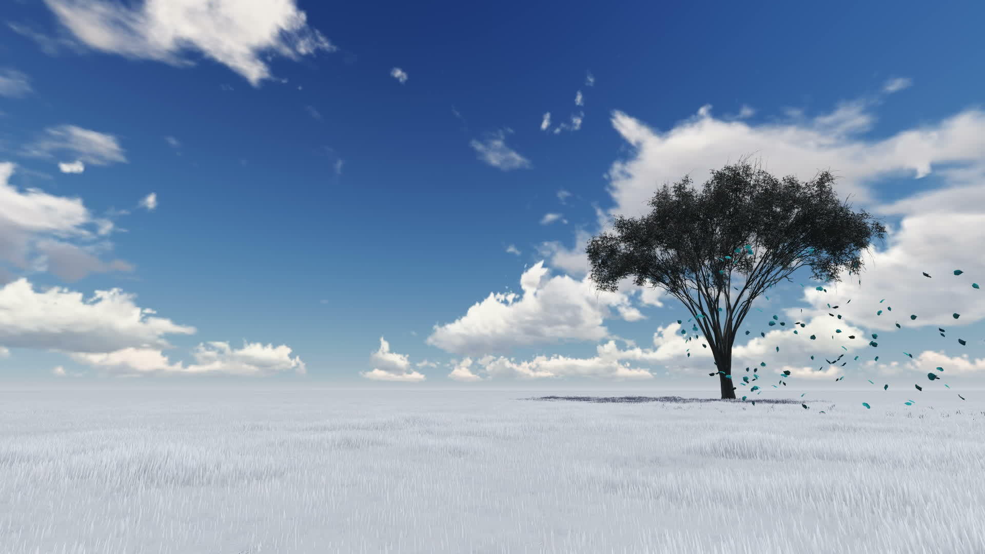 3d冬季模型的自然性视频的预览图