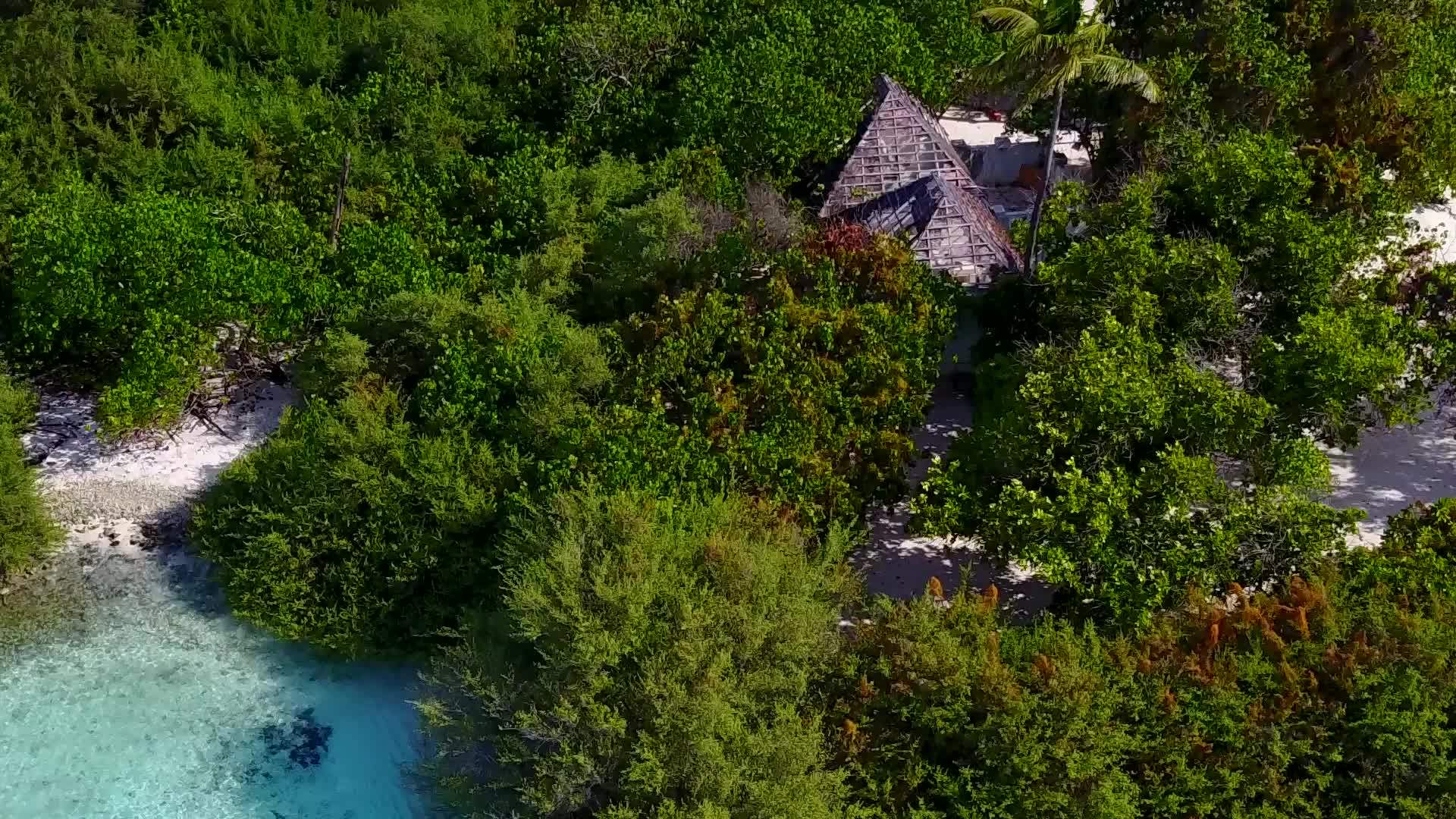 热带海湾海滩的空中旅游沿线清洁海滩的背景视频的预览图