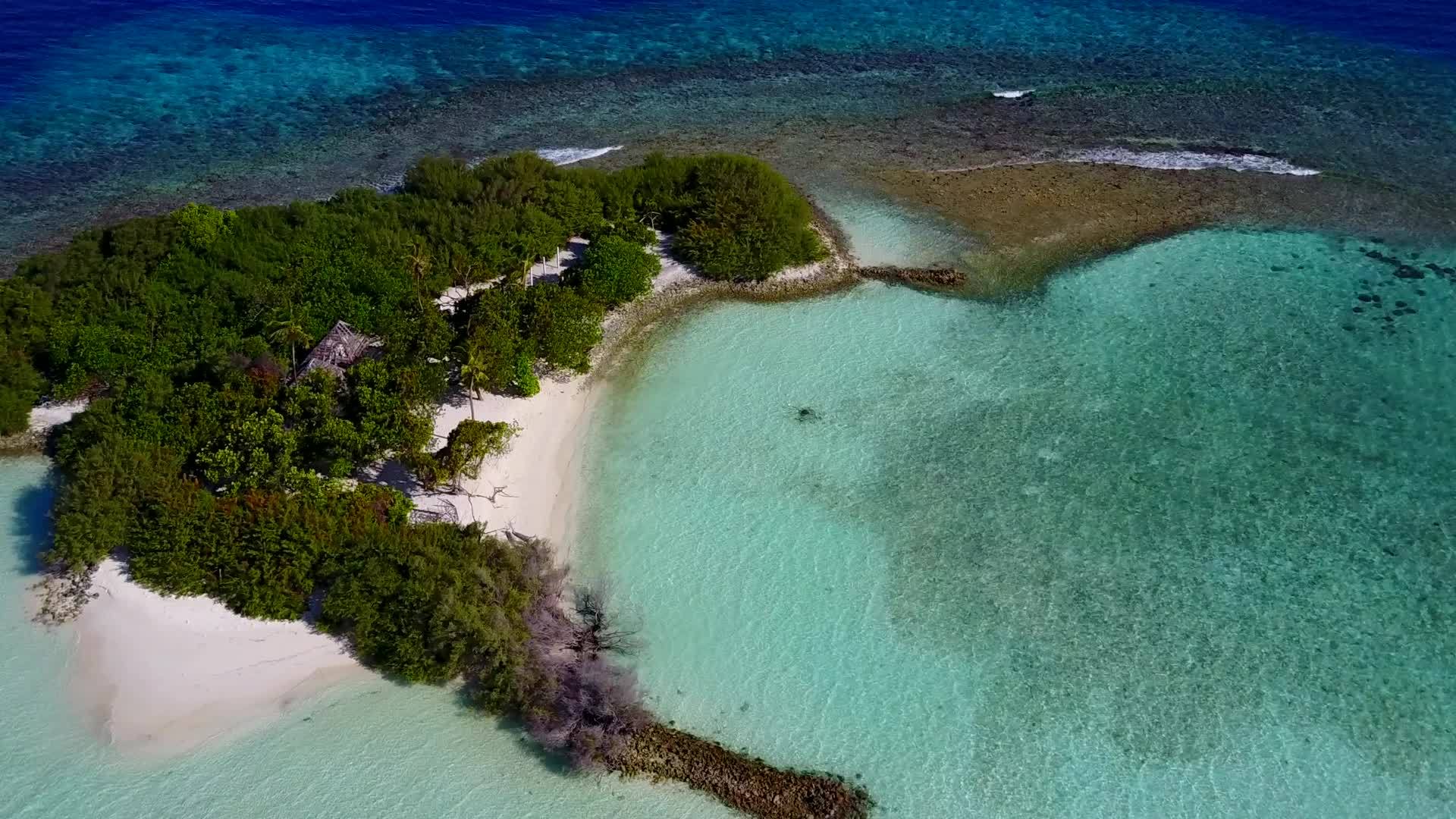 白沙背景透明海洋热带岛屿海滩生活方式视频的预览图