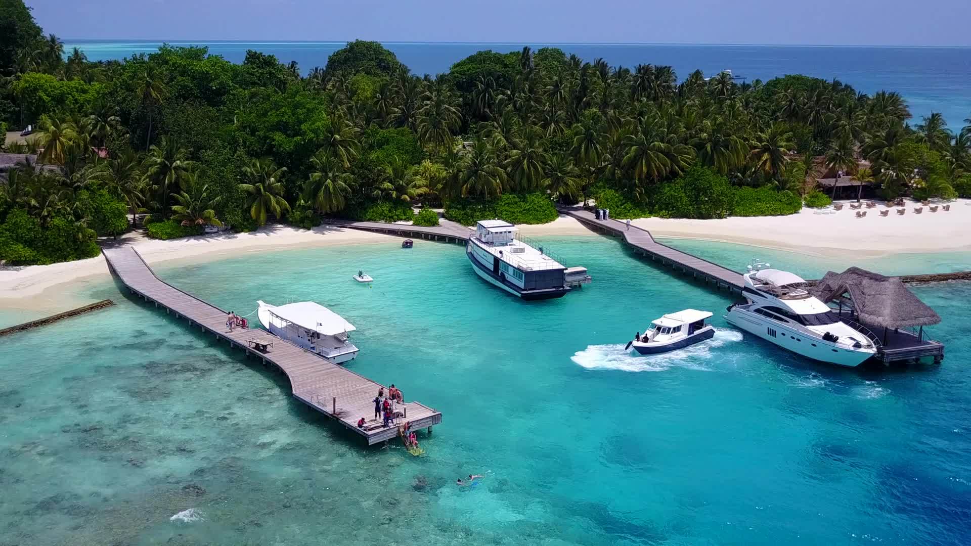 在蓝色海洋和清洁沙滩的背景下在宁静的海洋中观看和飞行视频的预览图