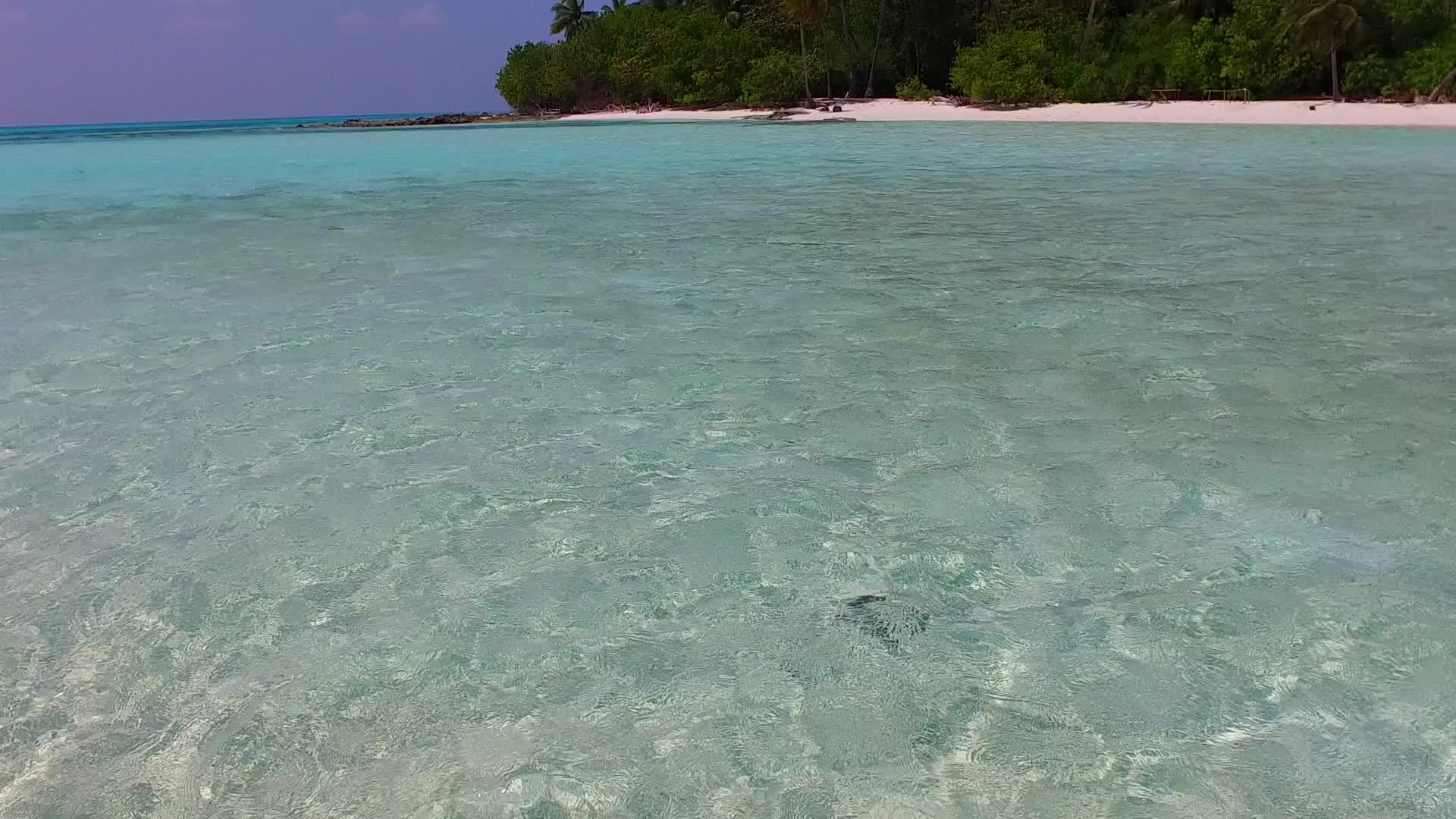 在蓝环礁湖和清洁沙滩的背景下海洋旅游和海滩旅游视频的预览图