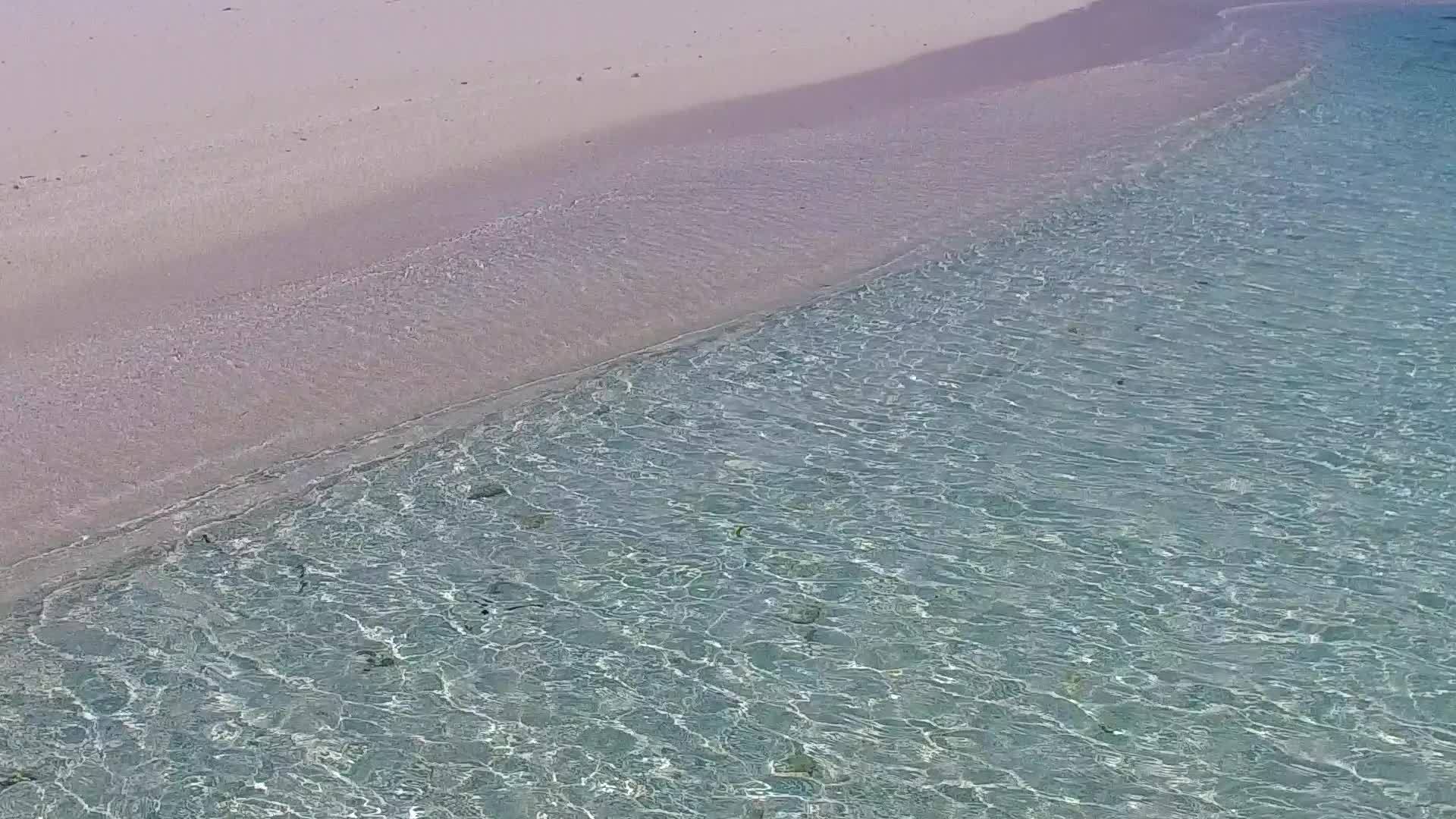 在白沙的背景下豪华海滩野生动物的空中无人机海景视频的预览图