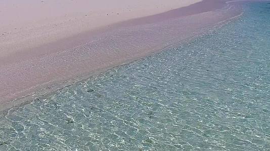 在白沙的背景下豪华海滩野生动物的空中无人机海景视频的预览图