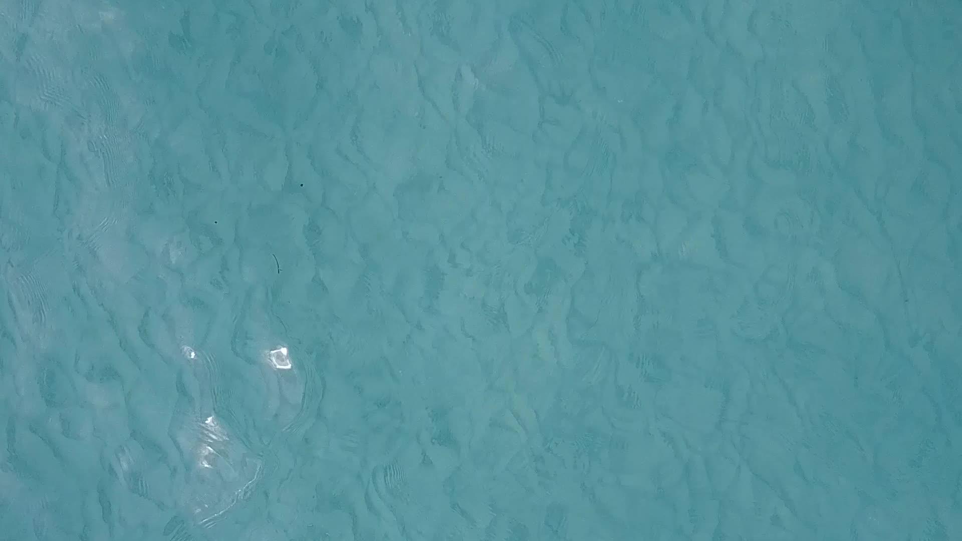 蓝绿色海洋和白沙背景热带环礁湖海滩野生动物飞行视频的预览图