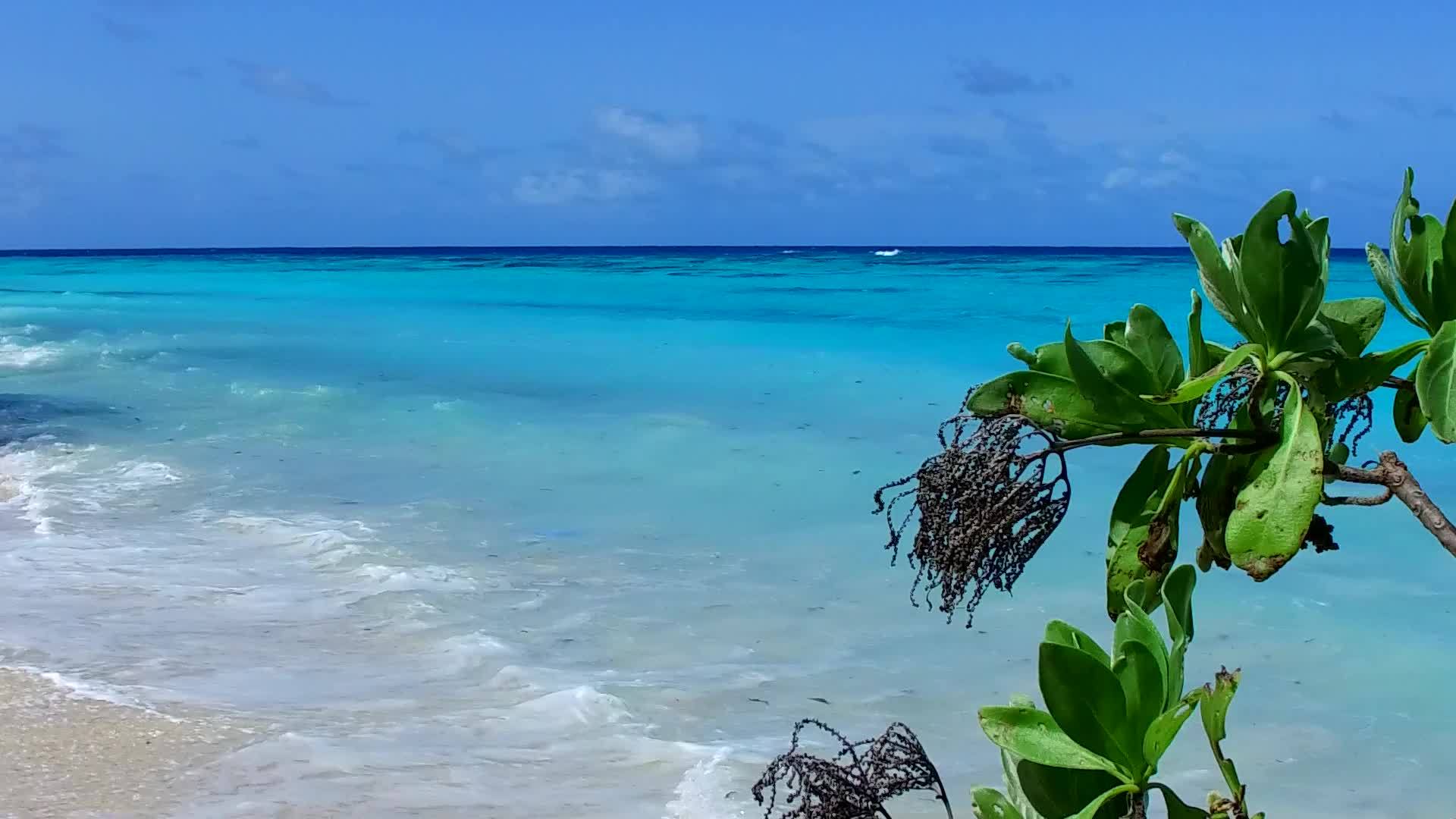 热带海湾海滩冒险热带蓝环礁湖和白色海滩背景视频的预览图