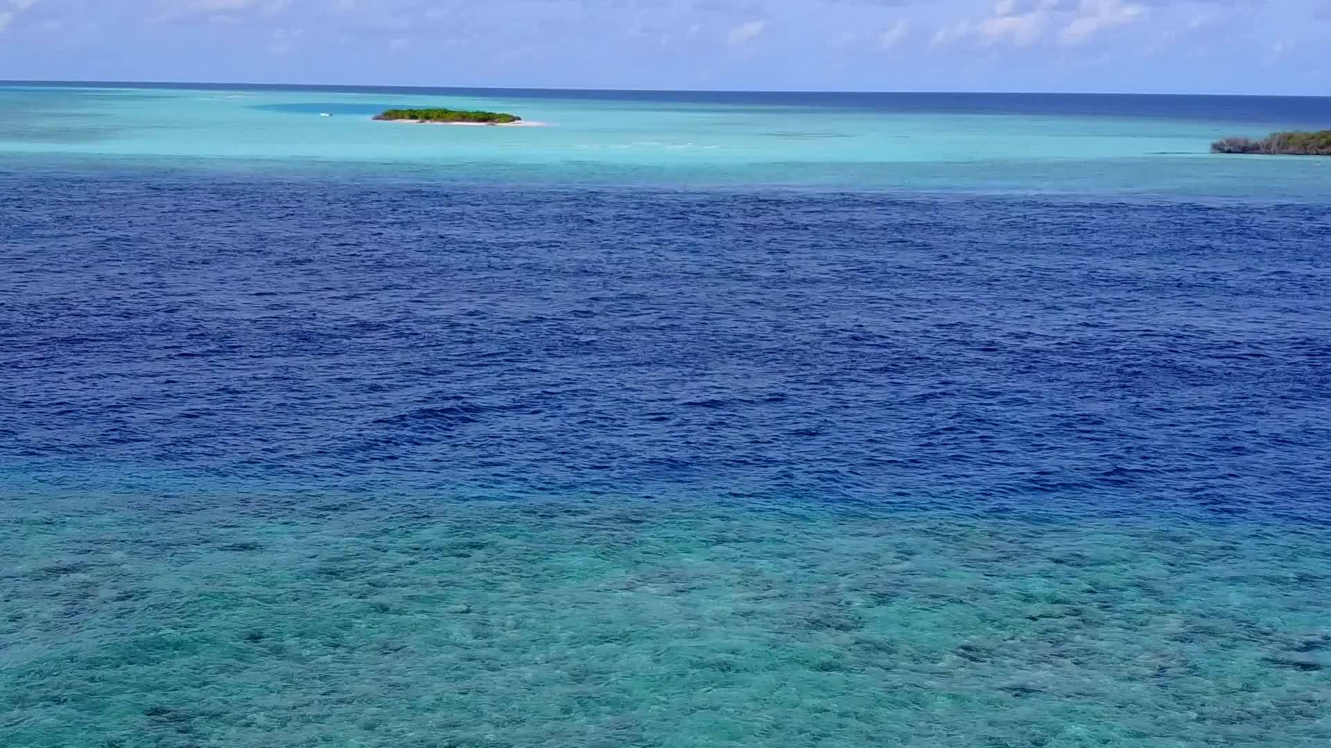 蓝环礁湖和白色海滩背景的天堂海滩野生动物在空中无人驾驶视频的预览图