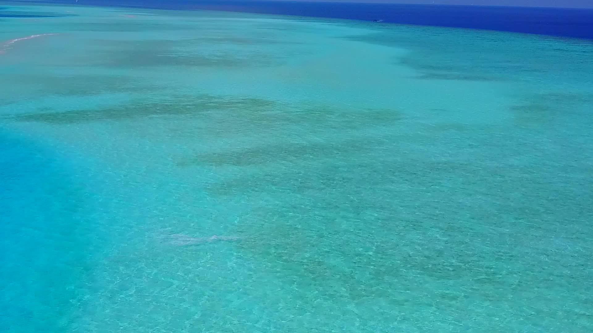 以浅海和白沙为背景的稀有海水和白色海滩风环礁湖海滩视频的预览图