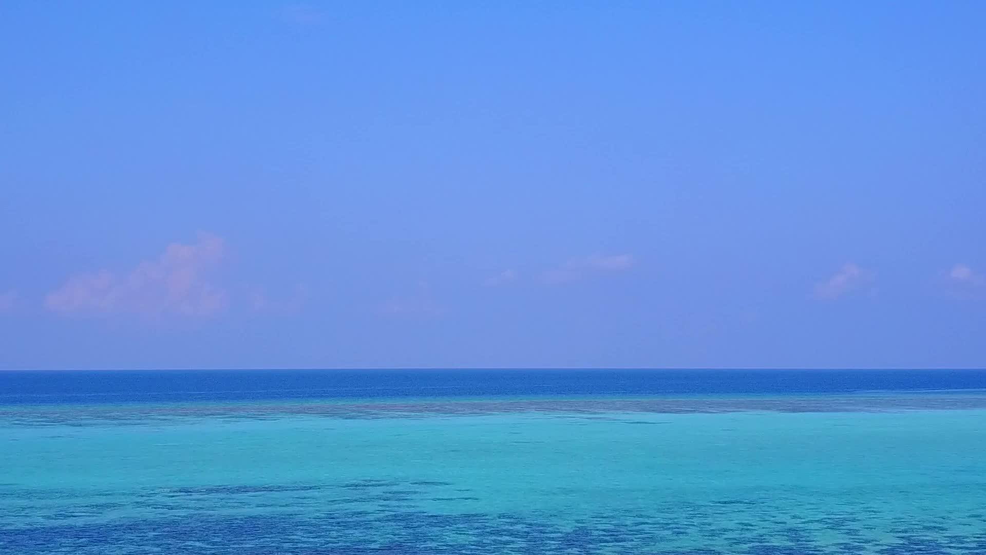 白沙背景蓝绿色泻湖放松海岸线海滩野生动物无人机全景视频的预览图